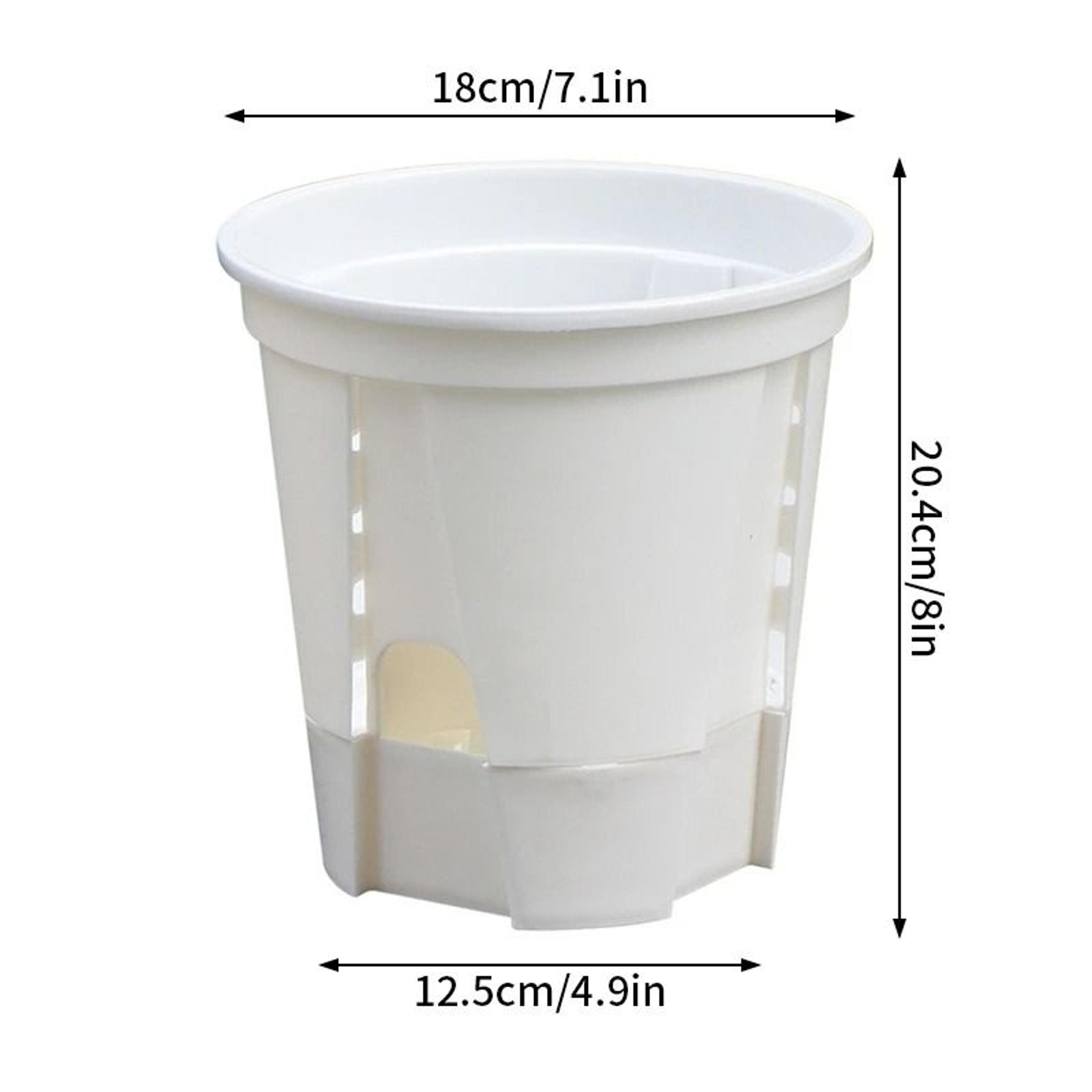 Transparent SelfWatering Plant Pot  HighPerformance Plastic Planter With Precision Drainage Holes 6