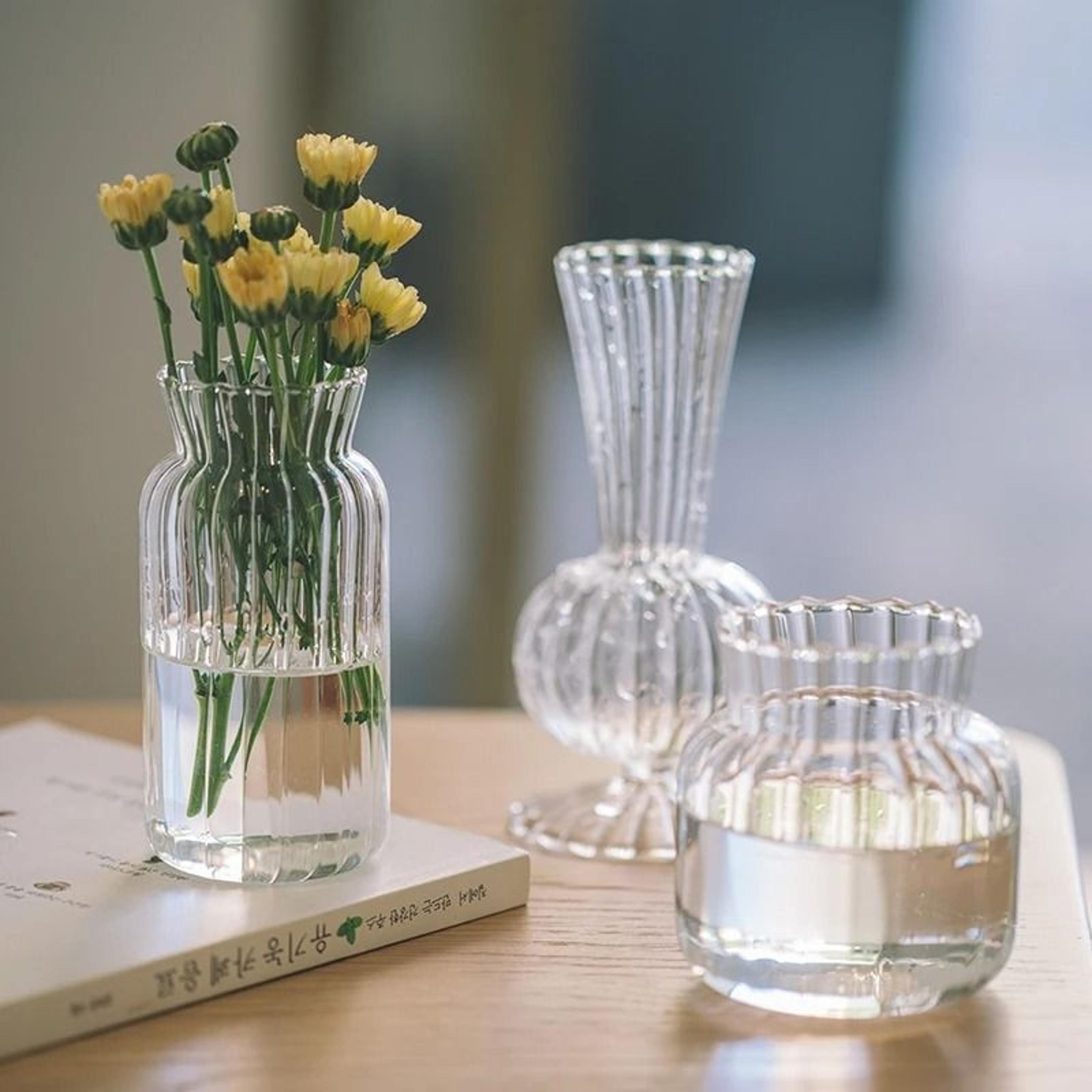 Mini Transparent Nordic Glass Vase  HighPerformance Hydroponic Plant Vase  Modern Living Room Ornam 5