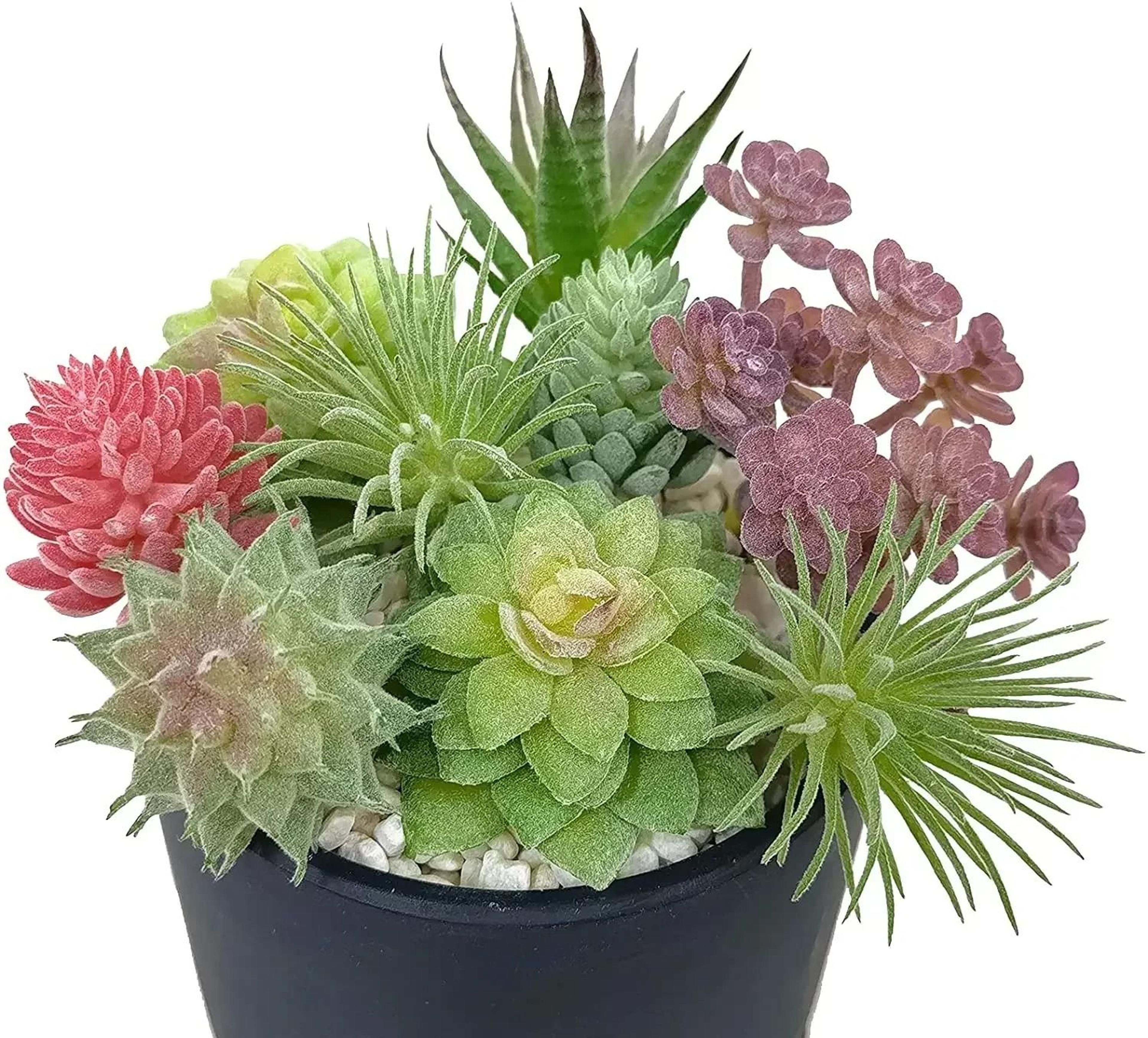 Artificial Small Succulent Set  HighPerformance 9Piece Indoor Botanical Decor  MultiType Faux Plant 0