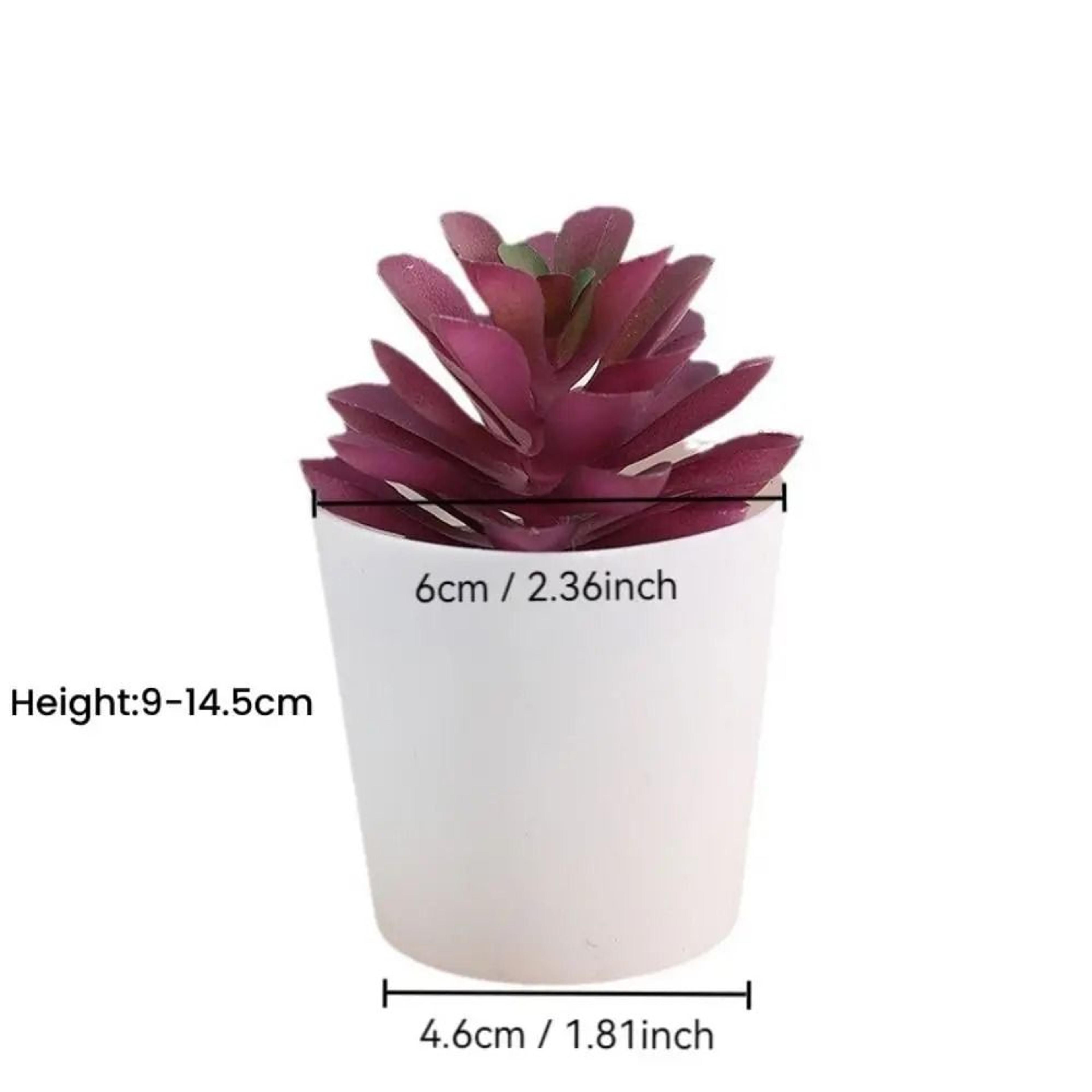 Artificial Succulent Mini Bonsai  HighPerformance Simulation Evergreen Cactus  Fake Plastic Decor P 5