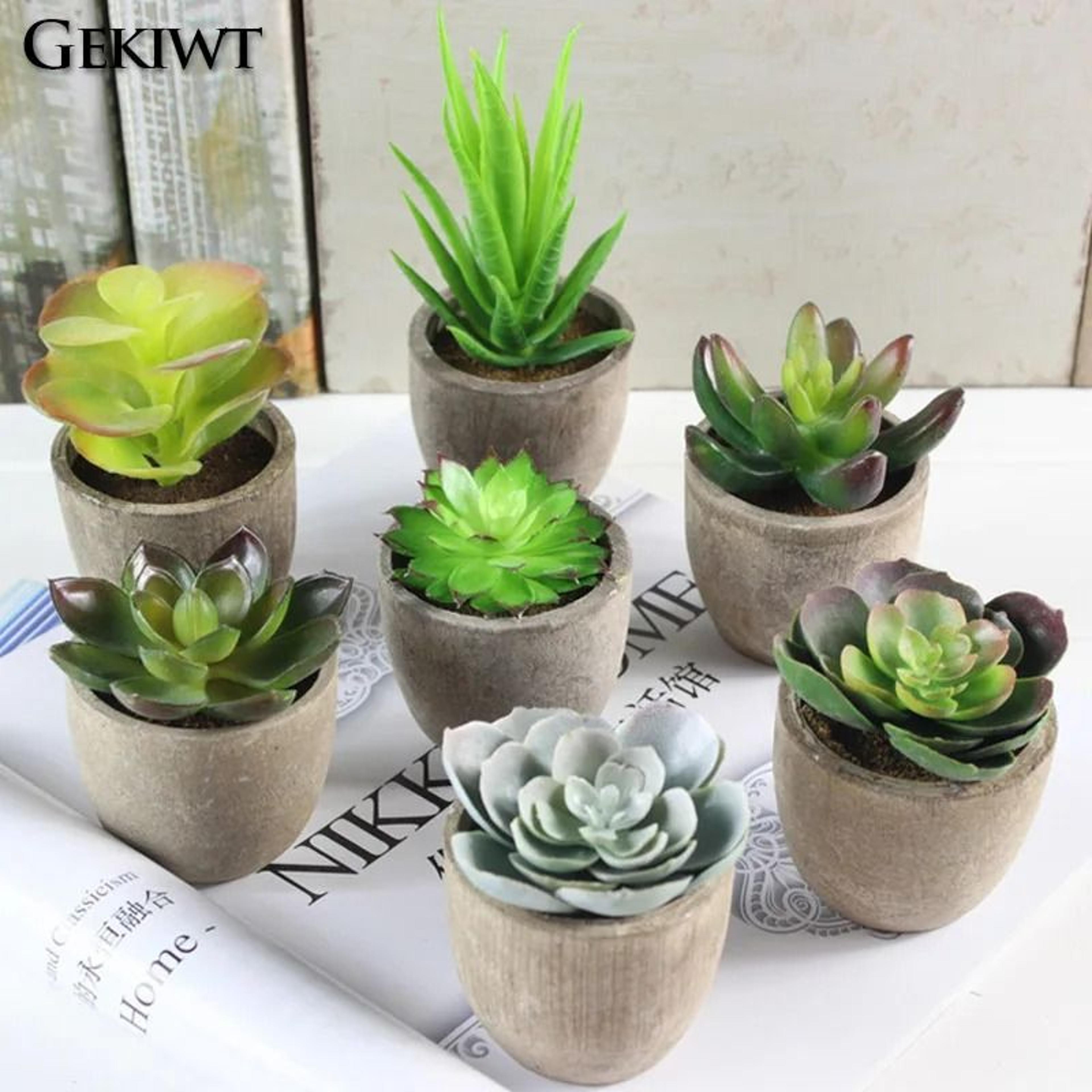 Mini Evergreen Simulated Tree  HighPerformance Artificial Succulent Pot Plant  Office Table Ornamen 0