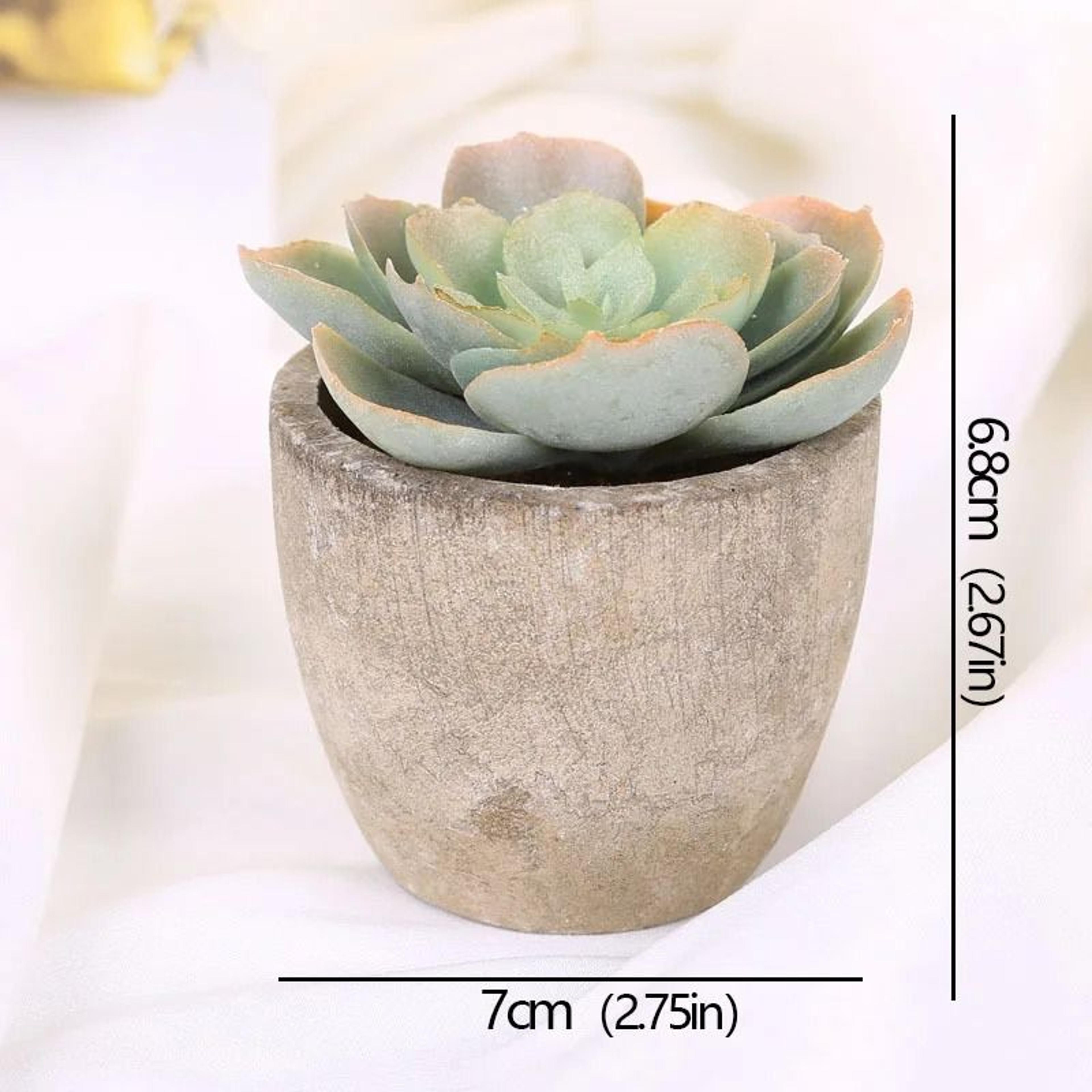 Mini Evergreen Simulated Tree  HighPerformance Artificial Succulent Pot Plant  Office Table Ornamen 14