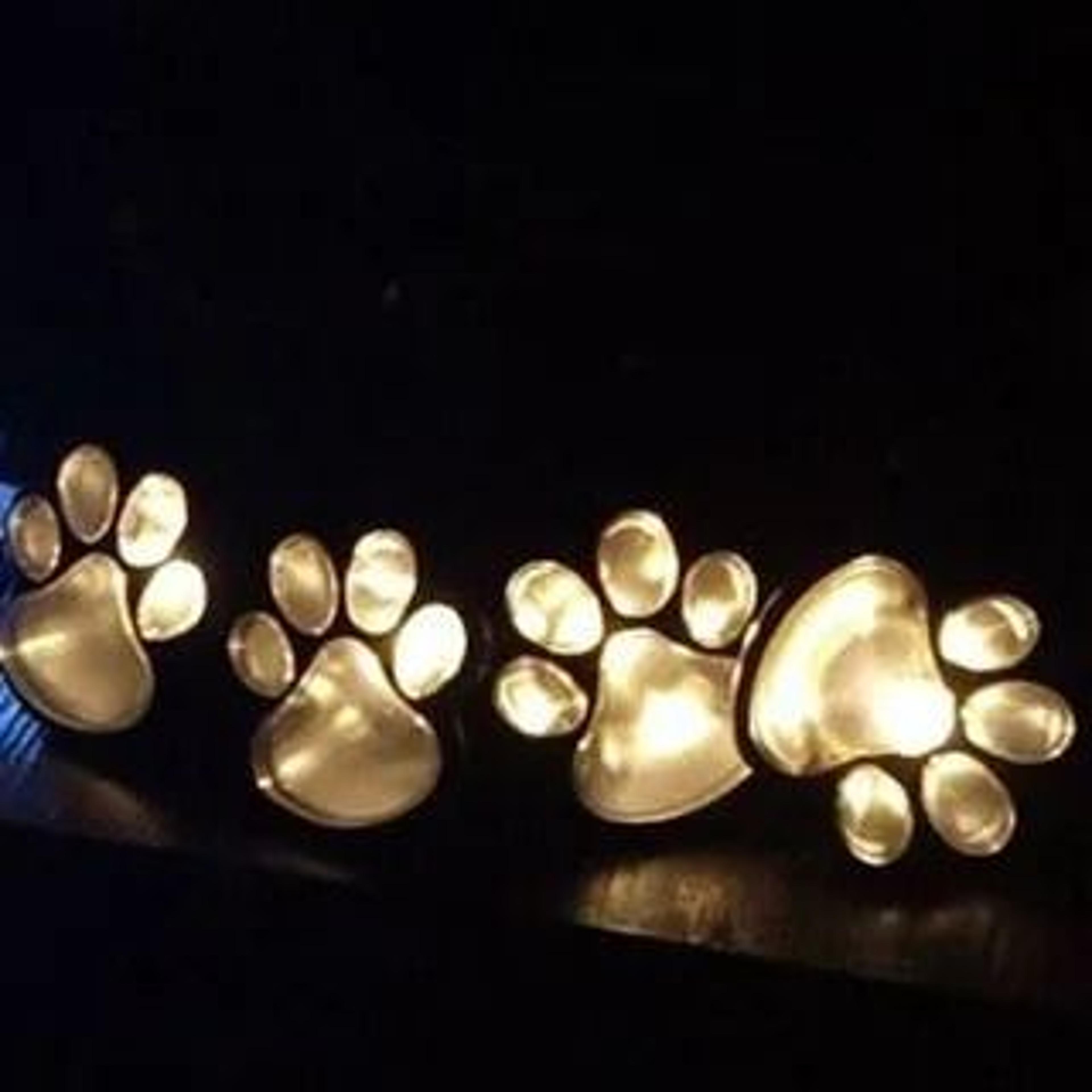 Solar Paw Print Landscape Lights  IP65 Waterproof LED Stone Imitation Garden  Yard Lamps 8