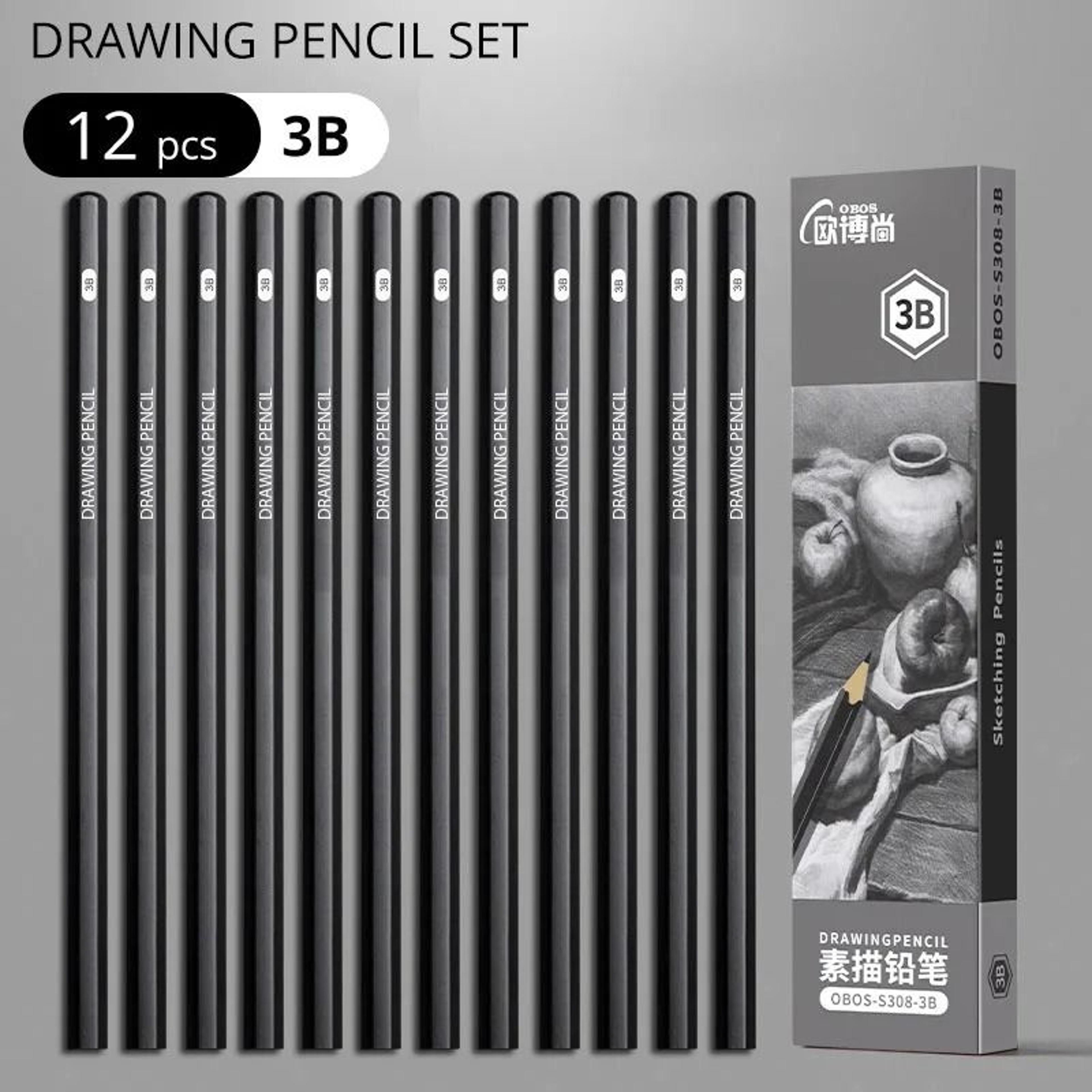 Professional MultiGrade Graphite  Charcoal Sketching Pencil Set 10
