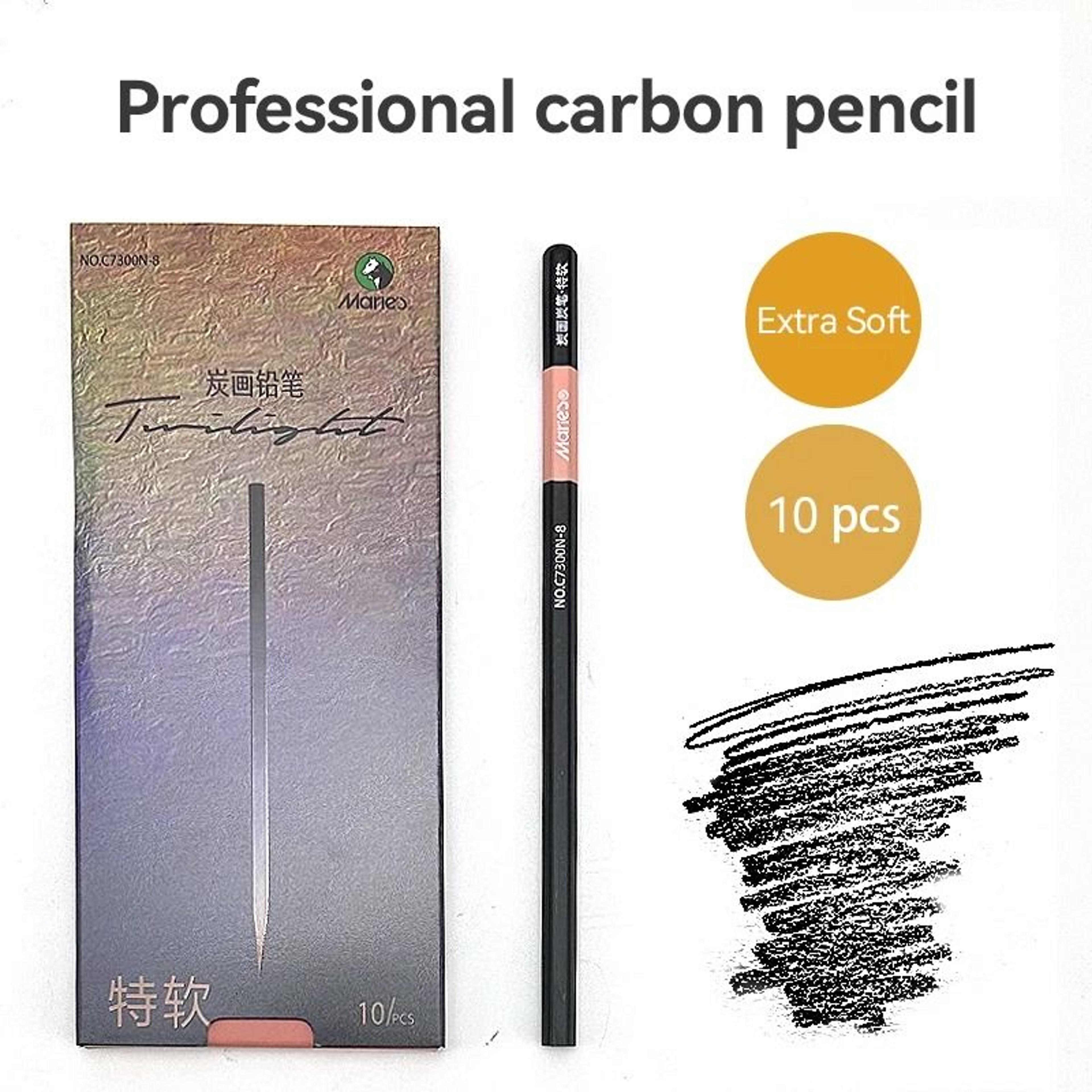 Professional 10Piece Charcoal  Graphite Sketching Set  Premium Artist Grade 9