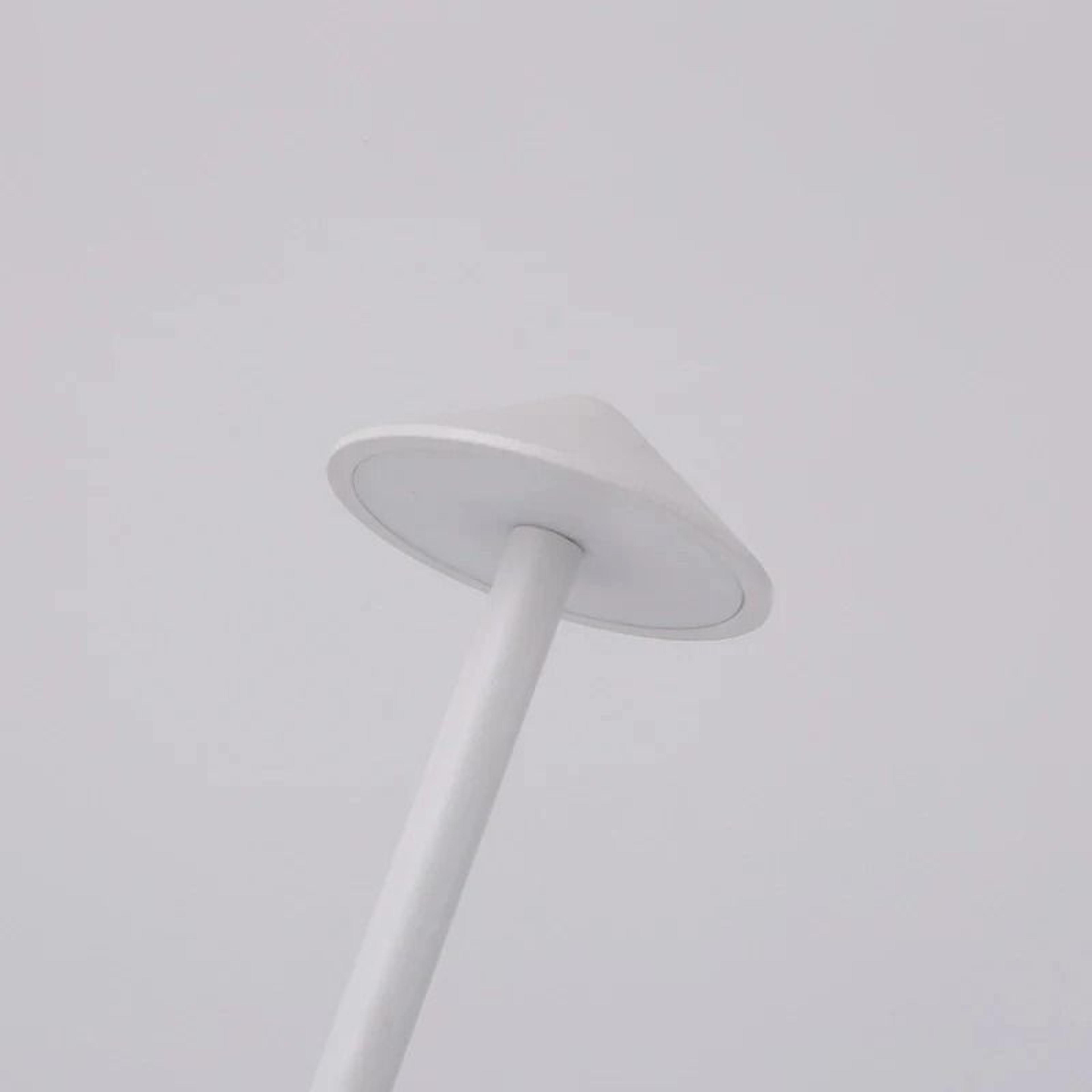 Rechargeable Table LED Lamp Touch Sensor Night Desk Lamp For Restaurant Hotel Bar 4