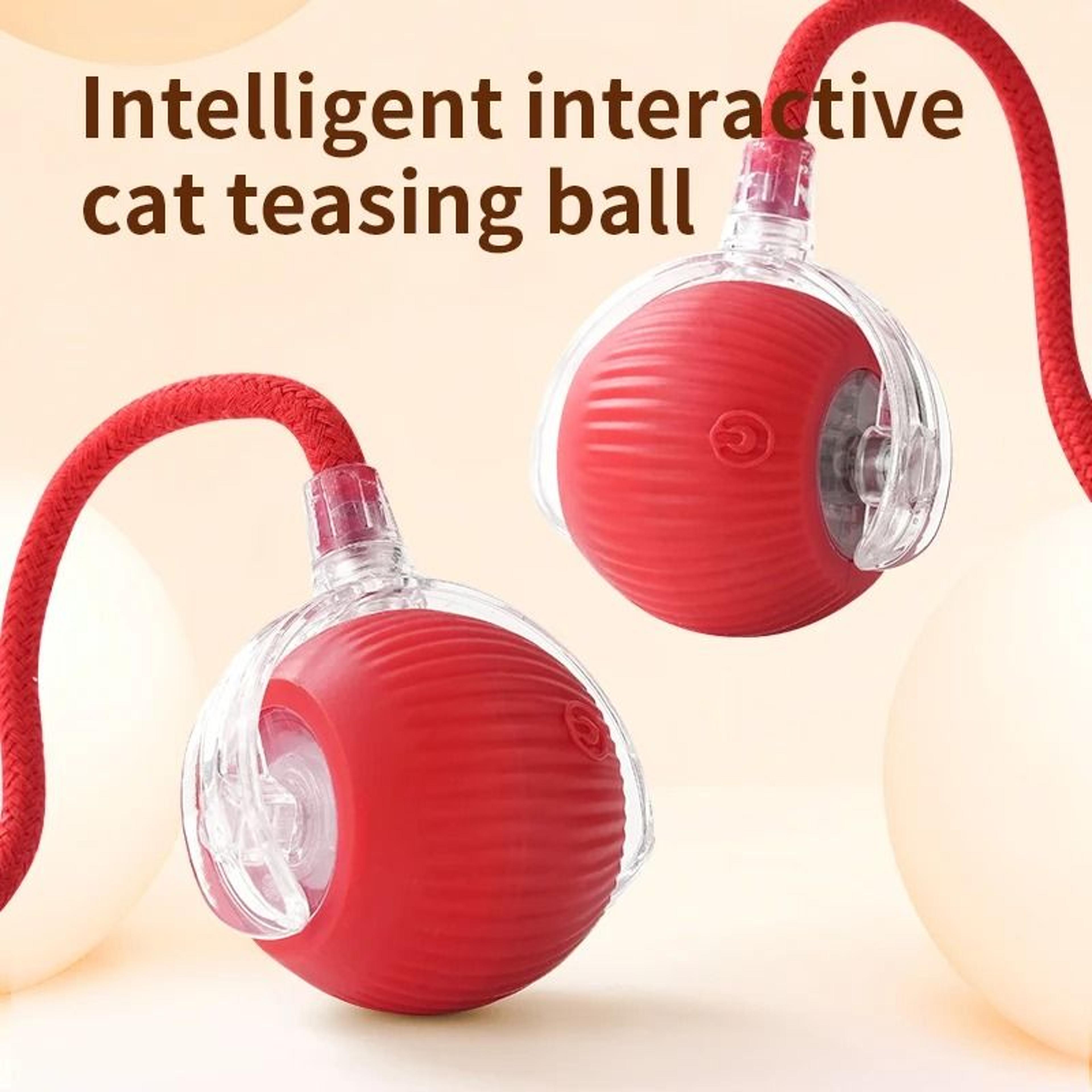 Smart Interactive Electric Rolling Ball With Flexible Tail Teaser For Cats 1