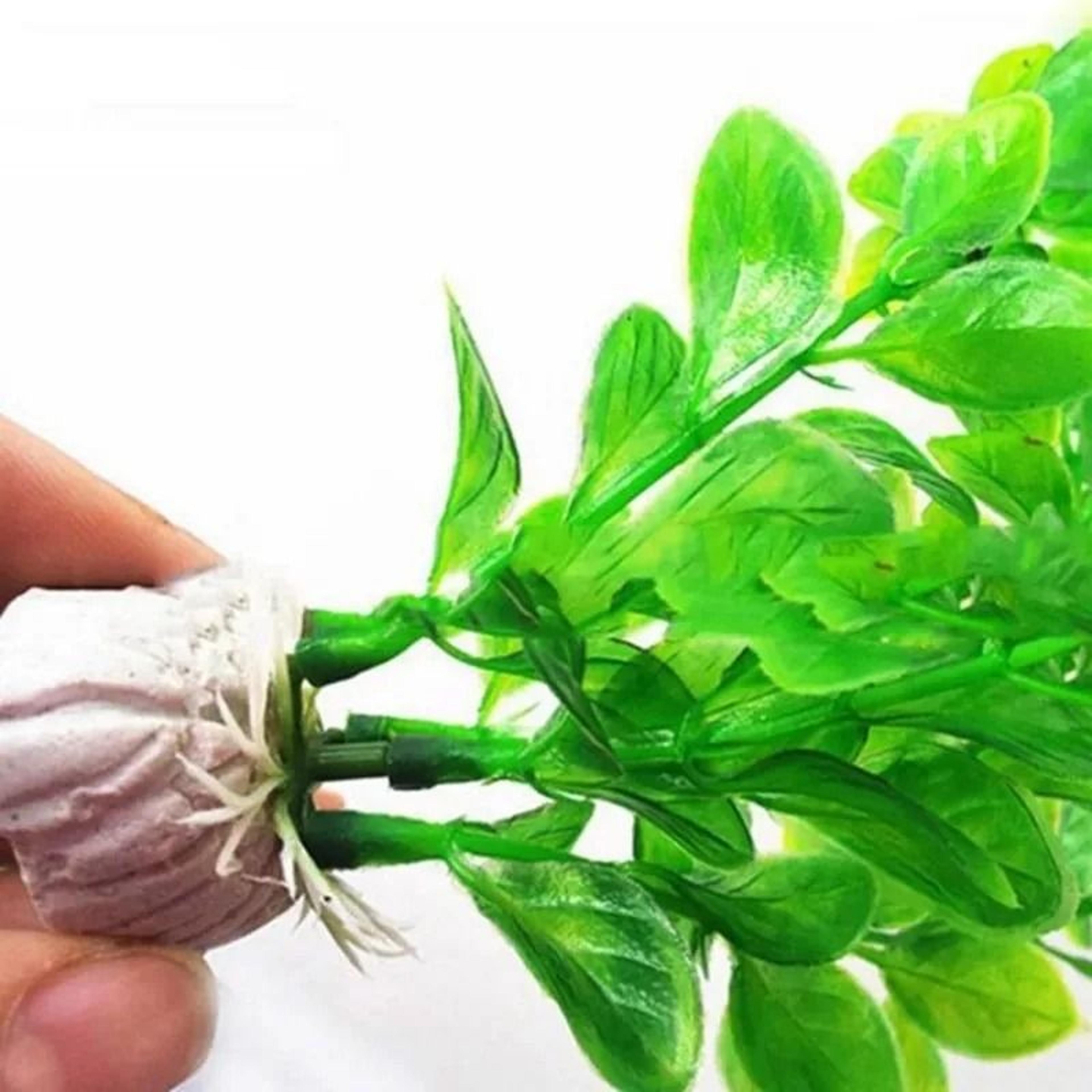 25cm Artificial Plastic Green Grass And HighPerformance Aquatic Plant Landscaping 5