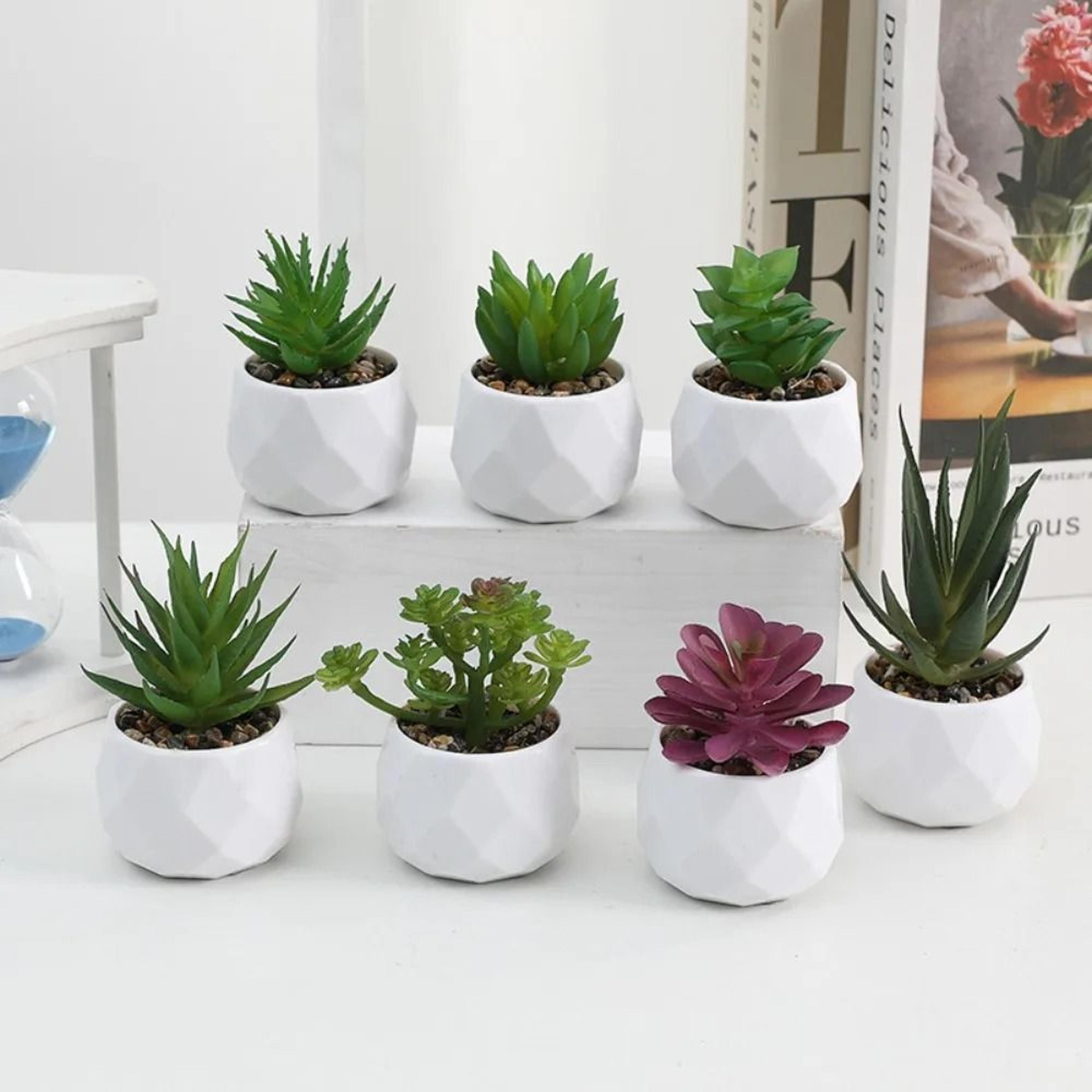 Mini Artificial Succulent Bonsai Simulation Potted Cactus Decor 1