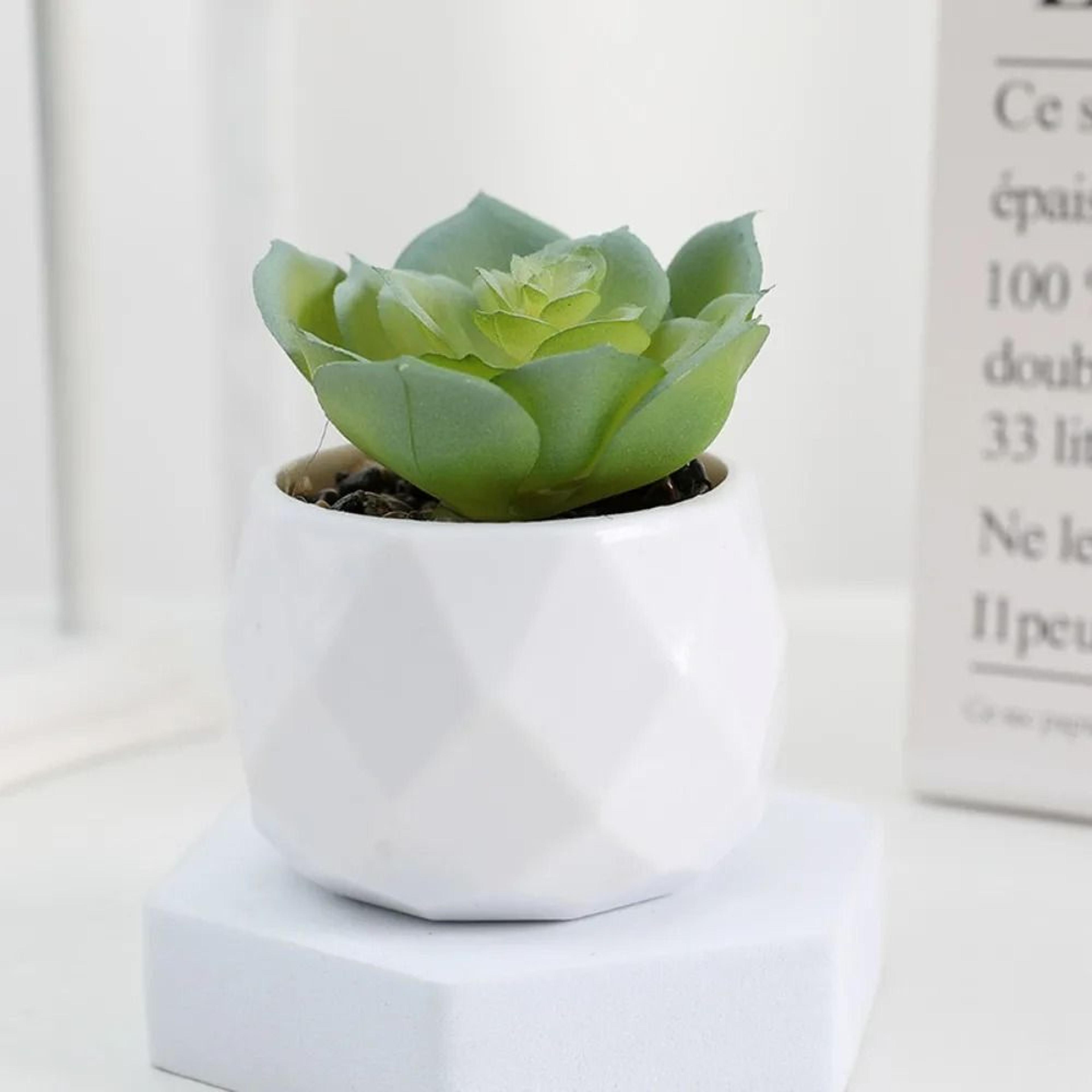 Mini Artificial Succulent Bonsai Simulation Potted Cactus Decor 6