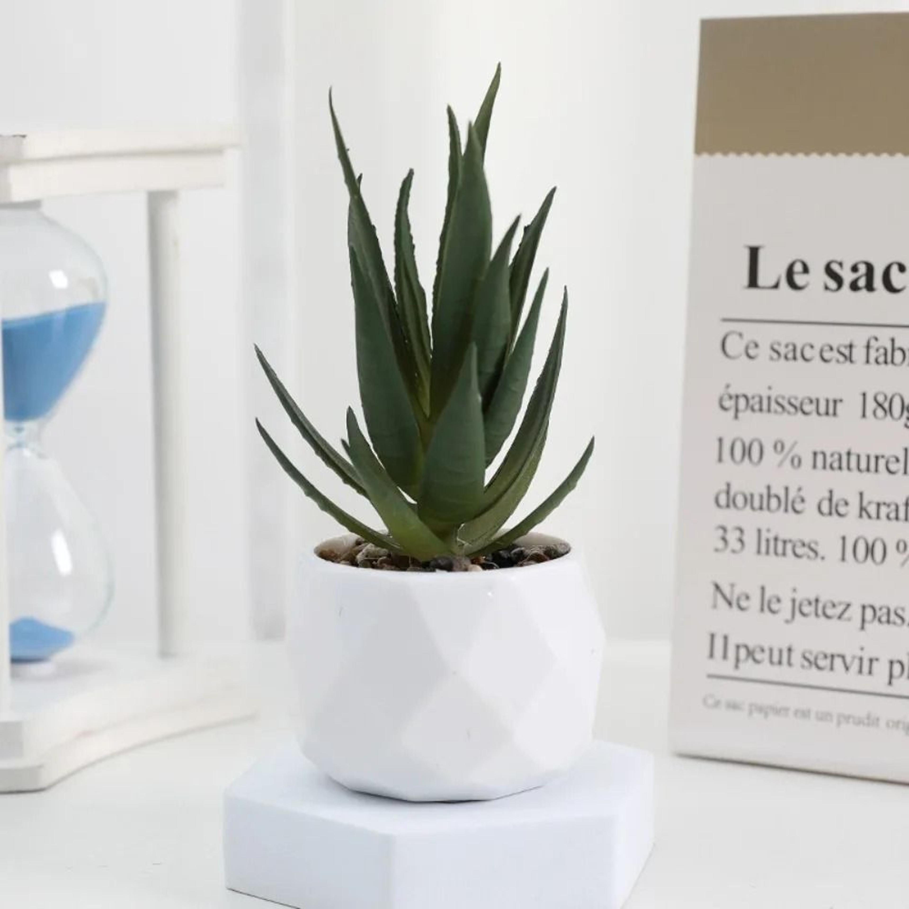 Mini Artificial Succulent Bonsai Simulation Potted Cactus Decor 14