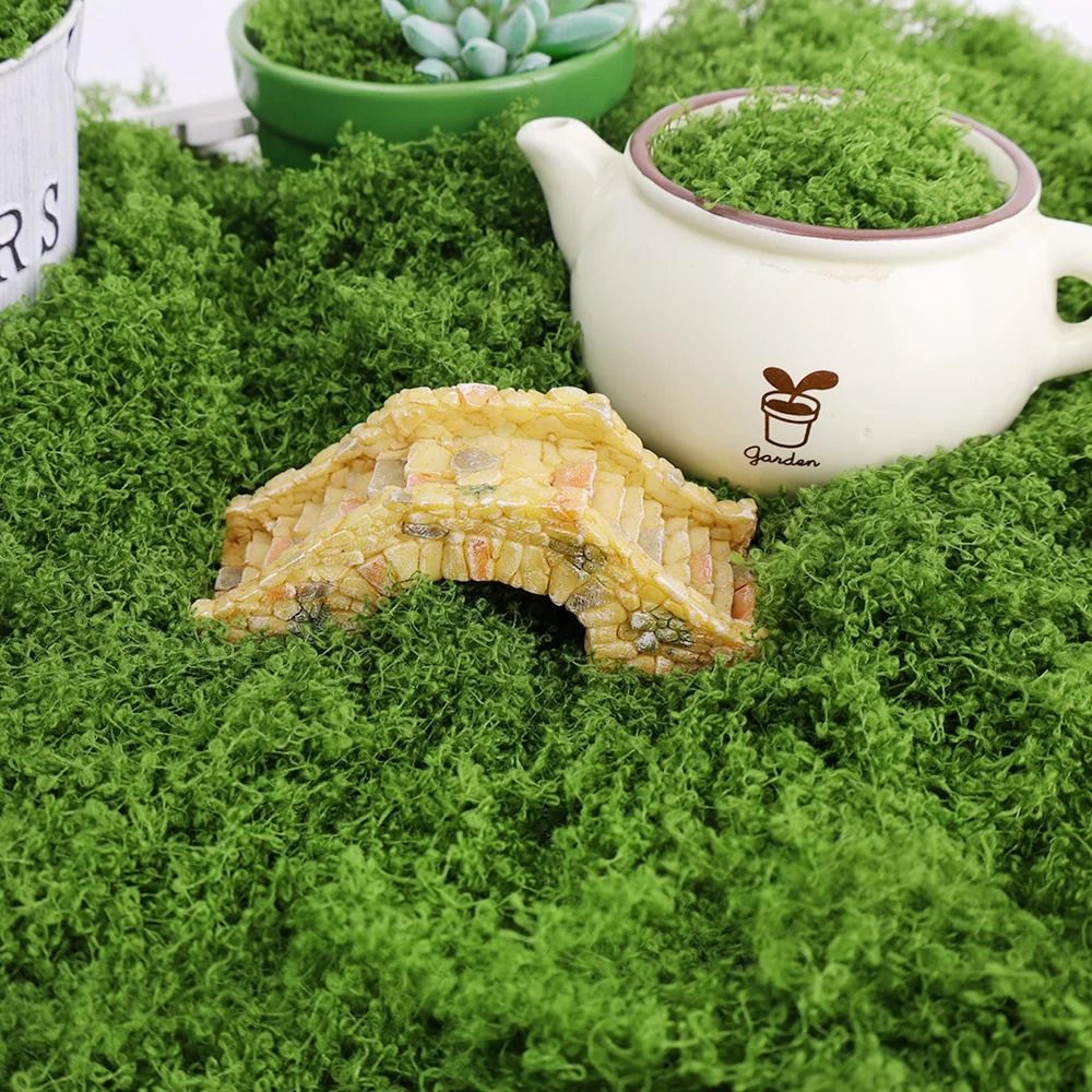 Artificial Eternal Life Moss  Decorative Green Grass For DIY Crafts  Potting 1