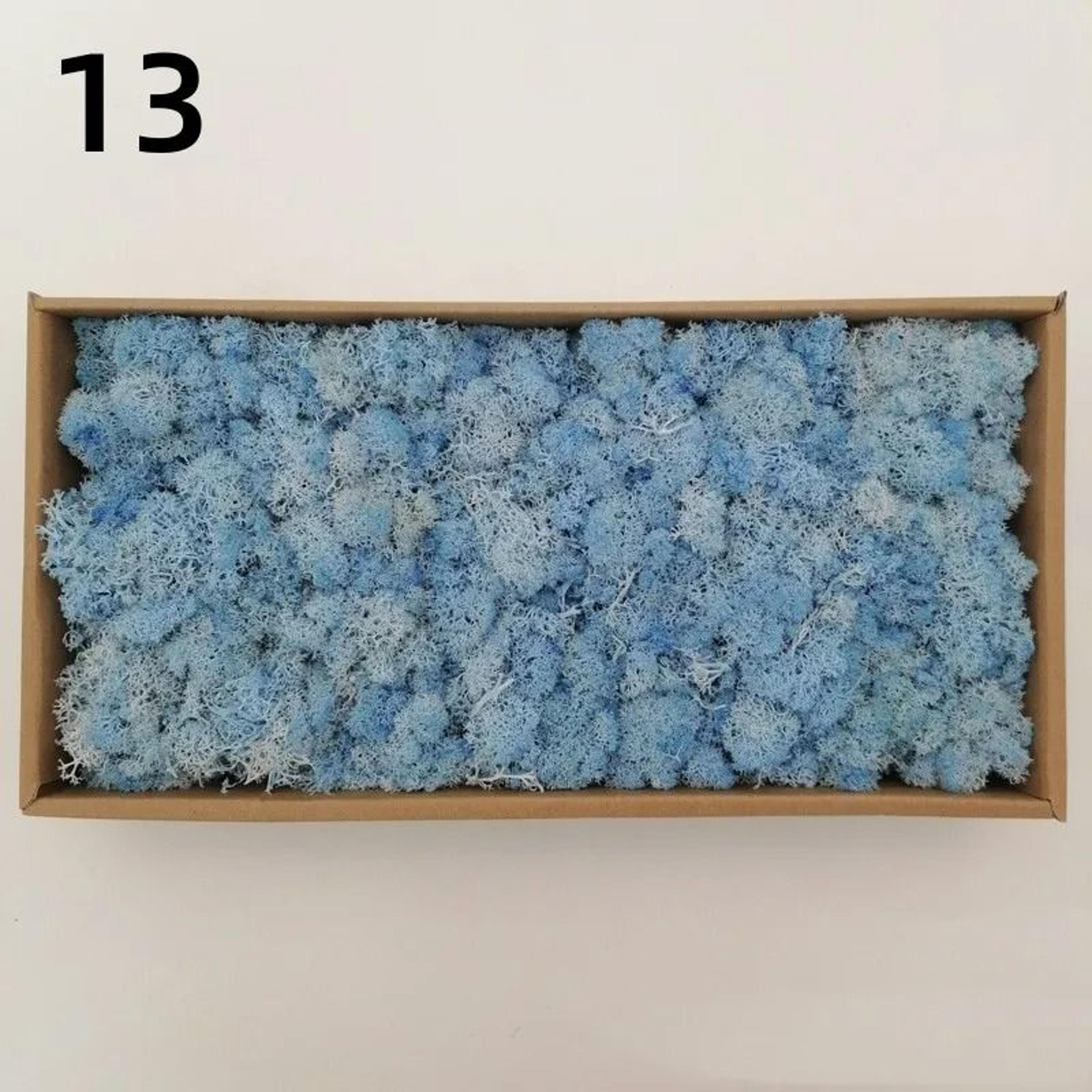 Premium Artificial Forest Moss  Eternal Life Green Grass For Terrariums  Mini Landscapes 19