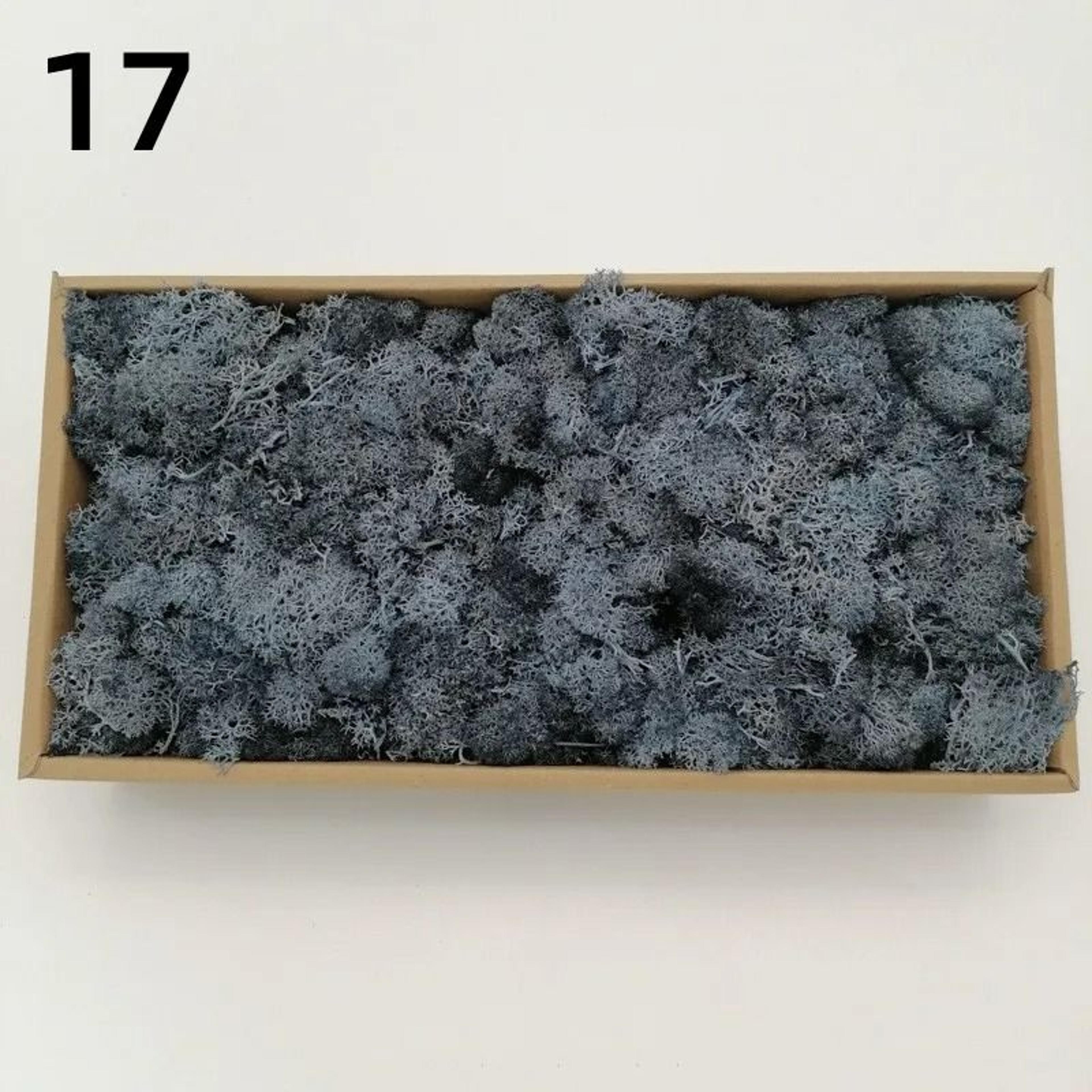 Premium Artificial Forest Moss  Eternal Life Green Grass For Terrariums  Mini Landscapes 22