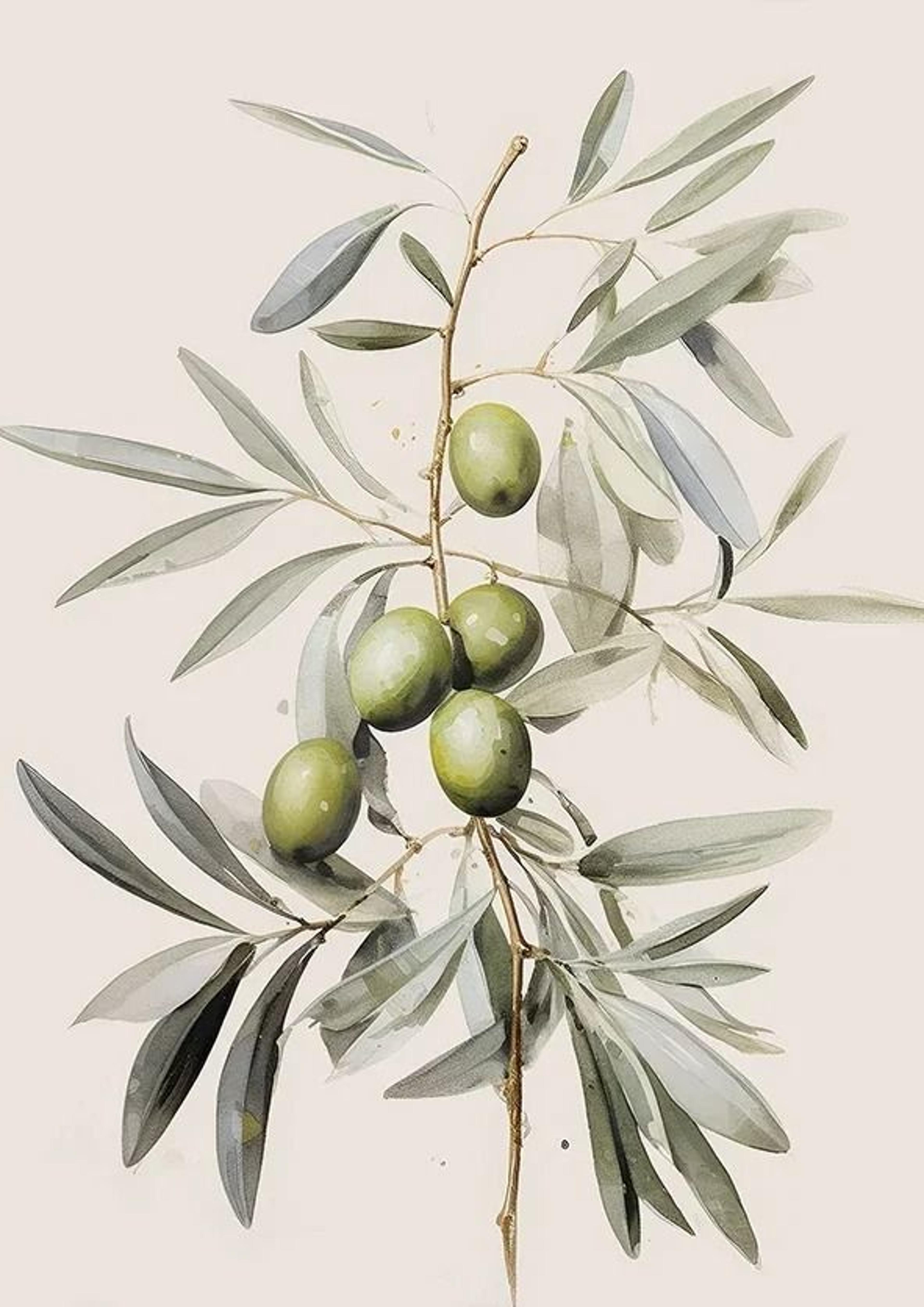Retro Elegant Olive Tree  Lemon Canvas Poster  Vintage Mediterranean Vase Wall Art 16