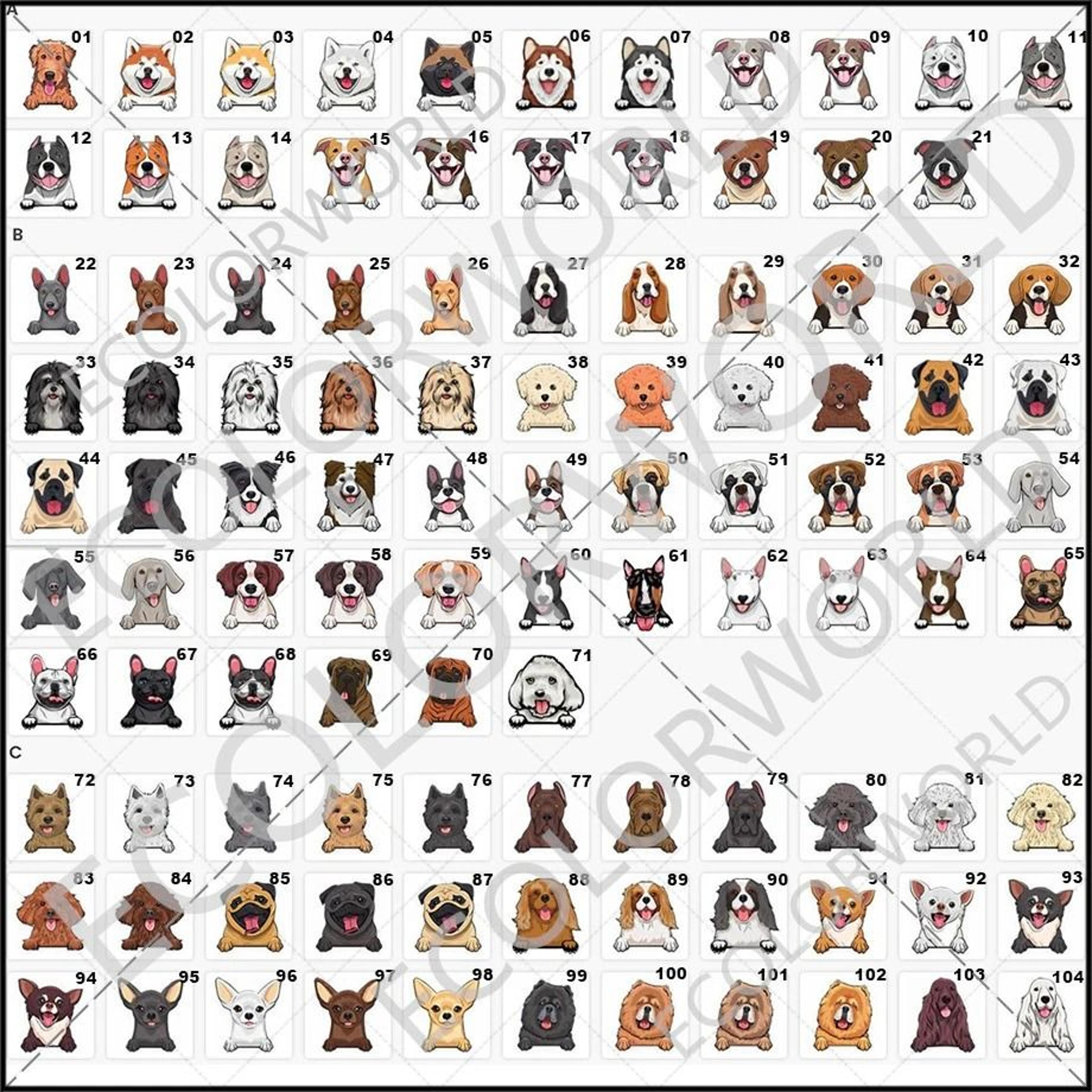 Custom Personalized Pets Cartoon Doormat  Bespoke Dog  Cat Name Welcome Rug 1