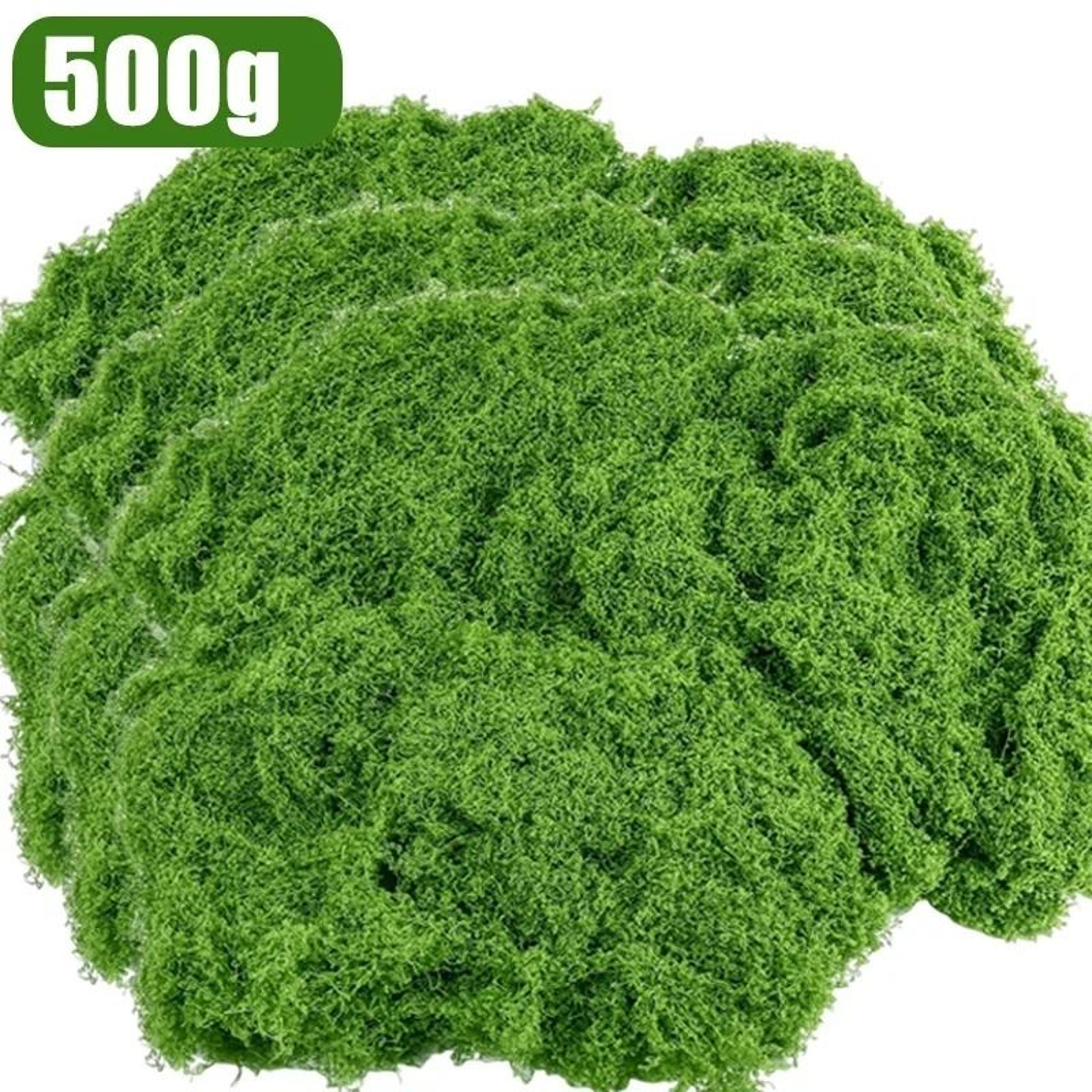 Everlasting Preserved Green Moss  Eternal Artificial Grass For Mini Landscapes  DIY Crafts 11