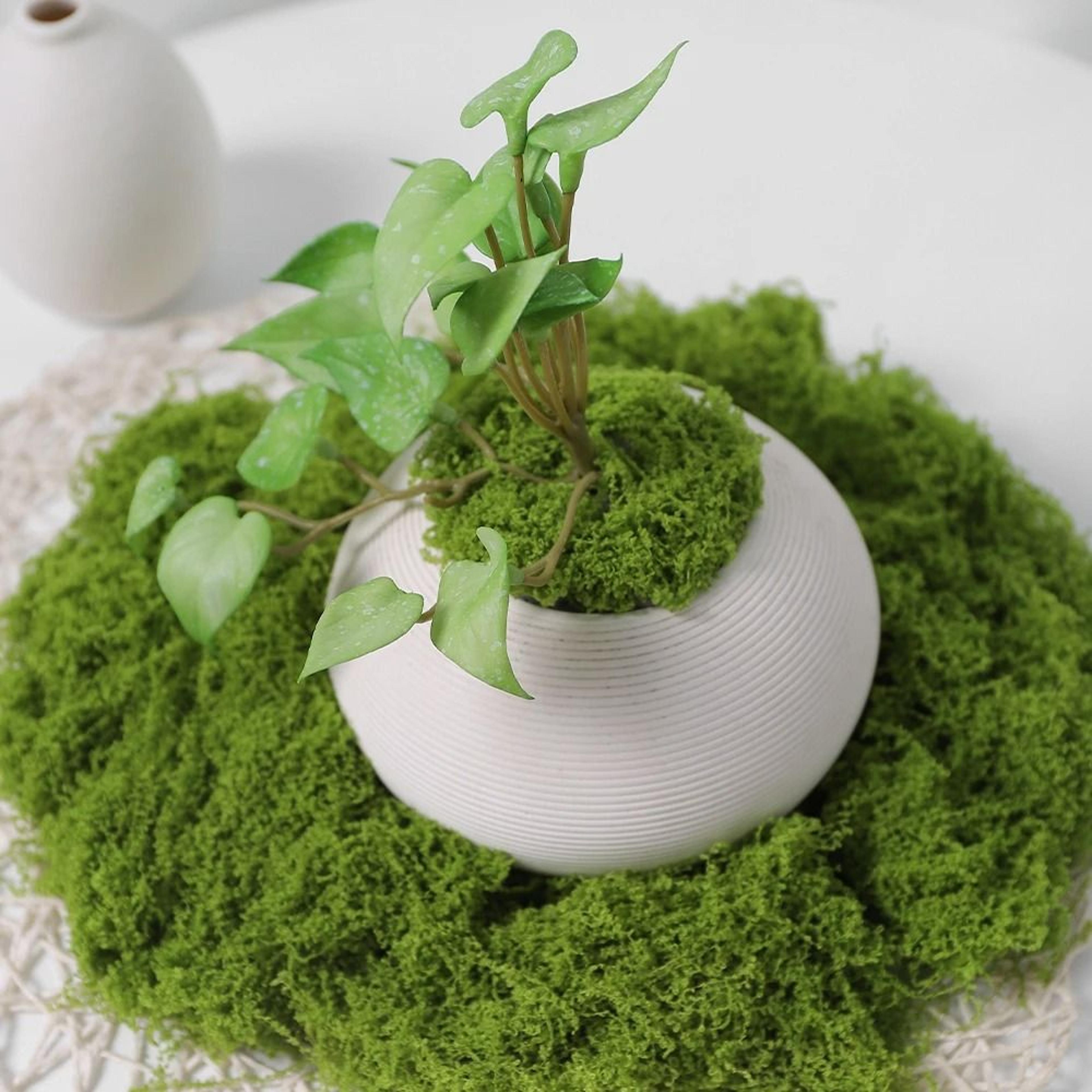 DIY Premium Artificial Green Moss  Faux Preserved Moss For Terrariums Garden Landscapes  Home Decor 4