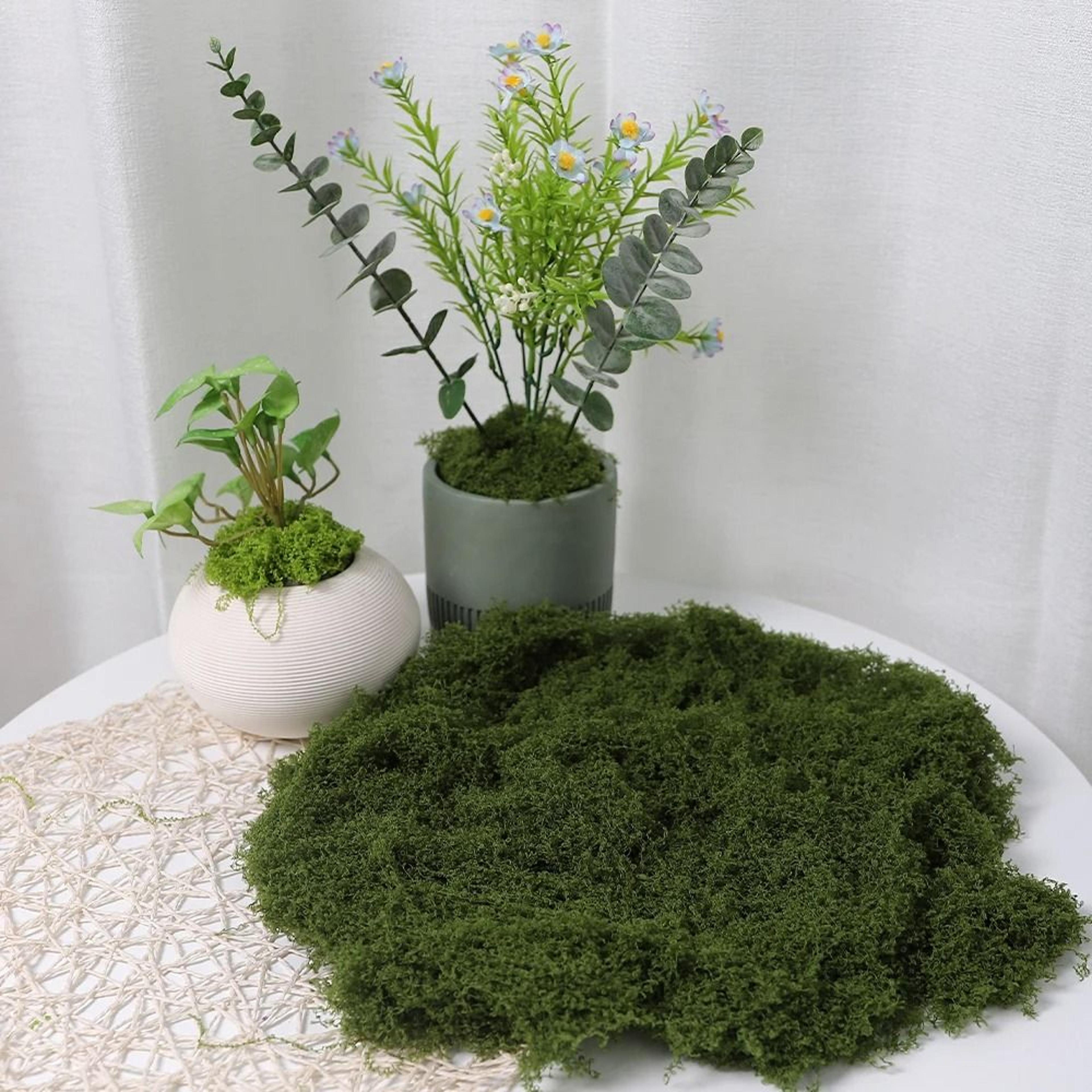 DIY Premium Artificial Green Moss  Faux Preserved Moss For Terrariums Garden Landscapes  Home Decor 8