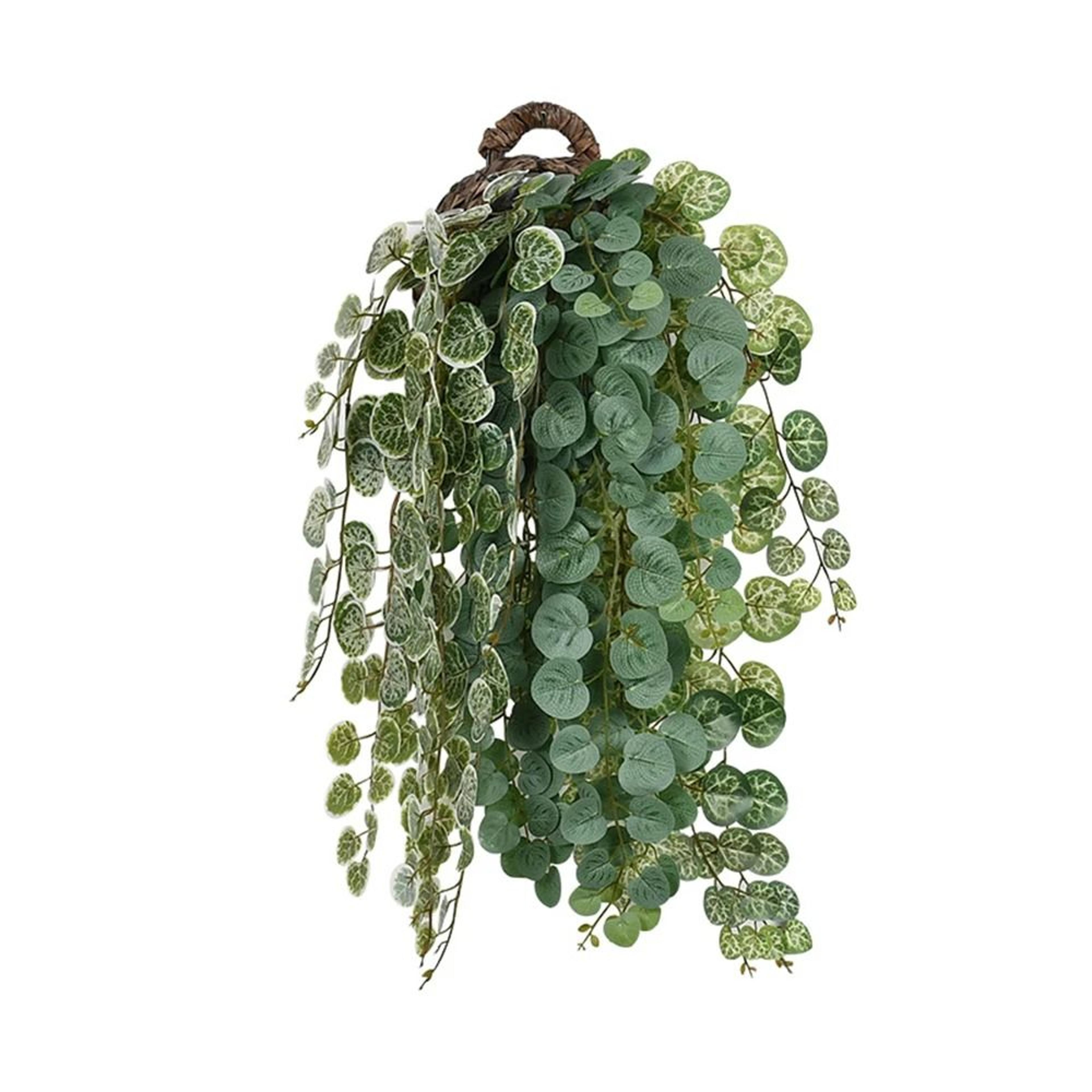 Artificial Eucalyptus Hanging Vine  4664cm Tropical Apple Leaf Rattan  Lush Greenery For Home  Wedd 4