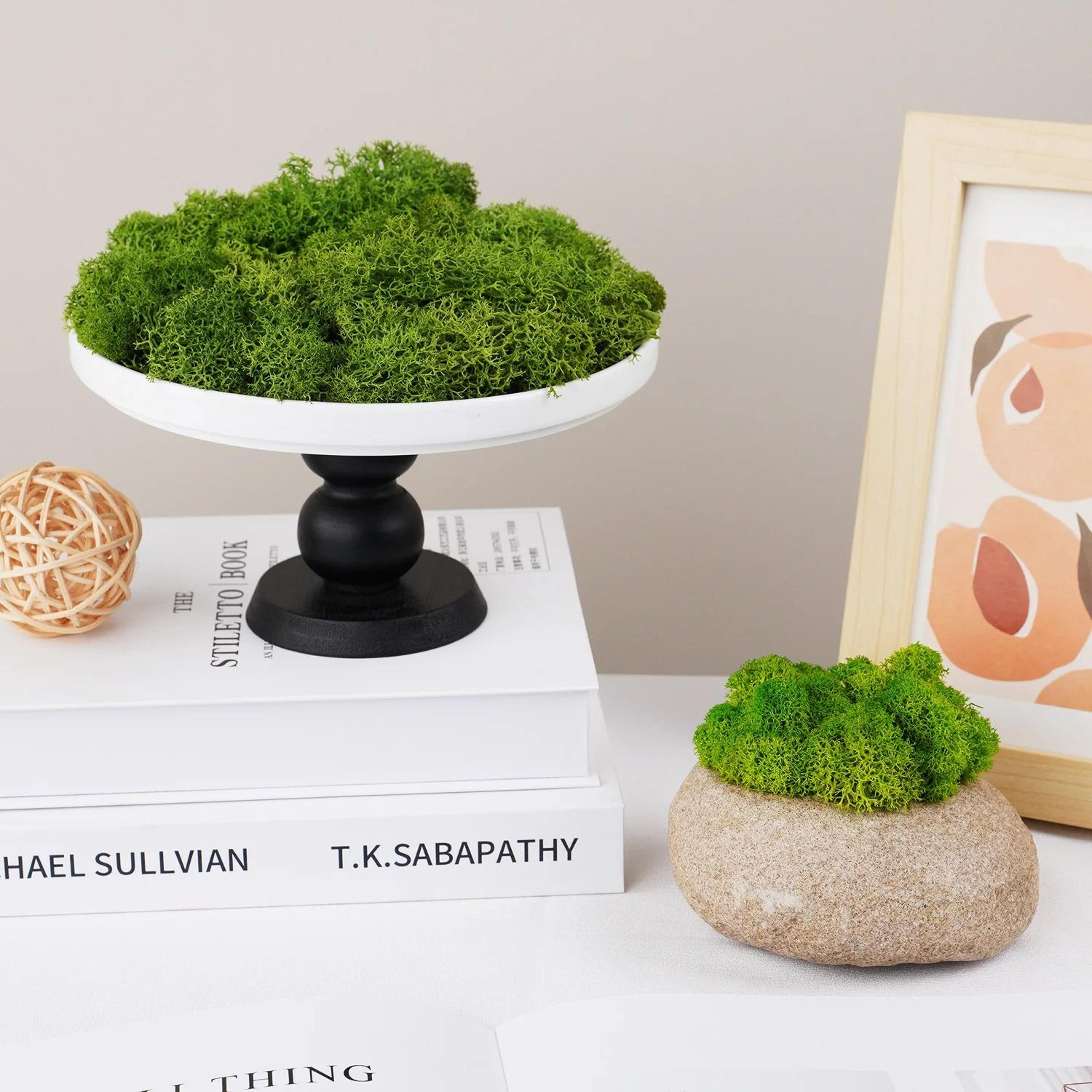 Natural Green Moss Simulation  Eternal Life Moss For Micro Landscapes  DIY Terrarium  Fairy Garden  0