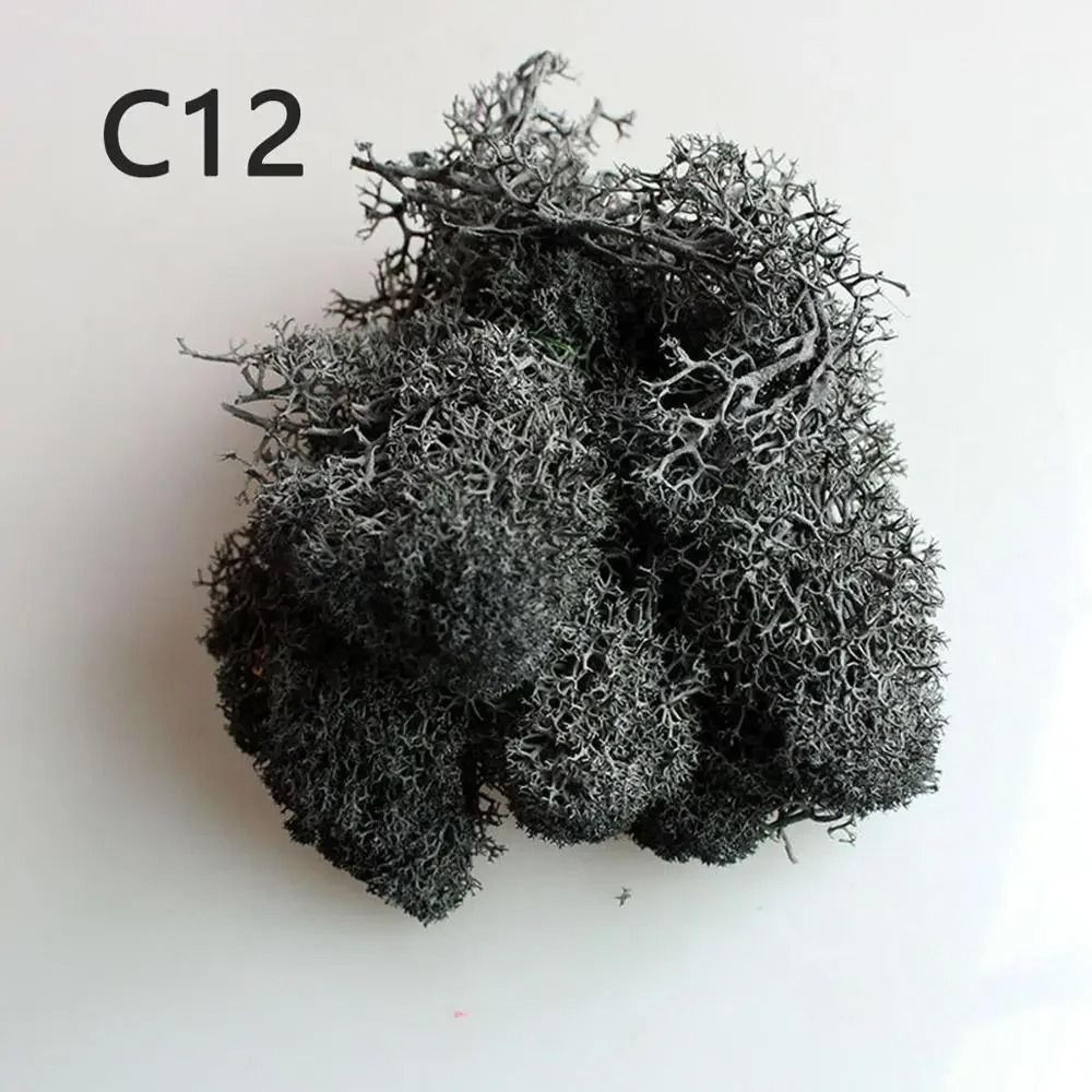 Artificial Eternal Life Moss  Decorative Faux Greenery For Wedding  DIY Crafts  Micro Landscape Mos 15
