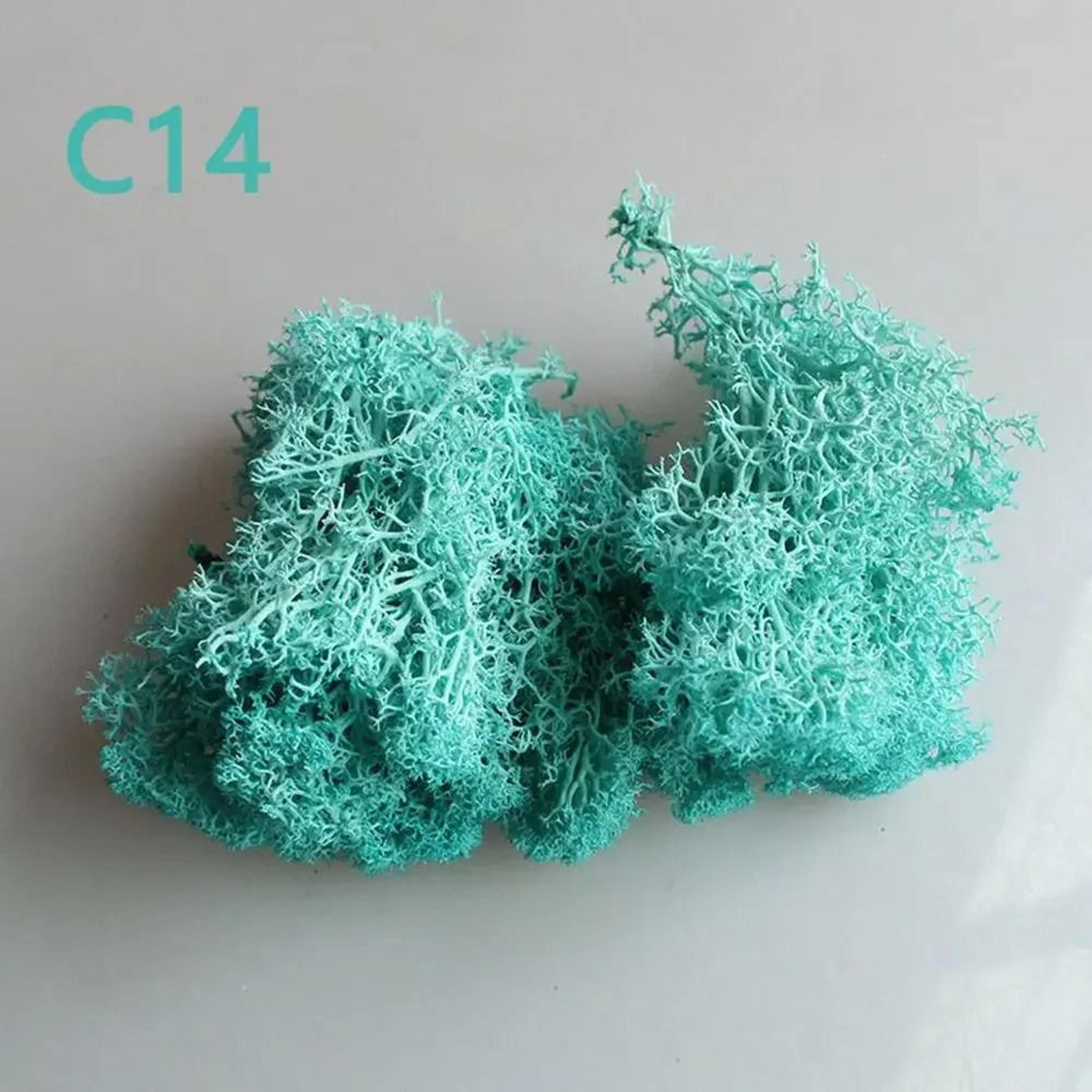 Artificial Eternal Life Moss  Decorative Faux Greenery For Wedding  DIY Crafts  Micro Landscape Mos 16