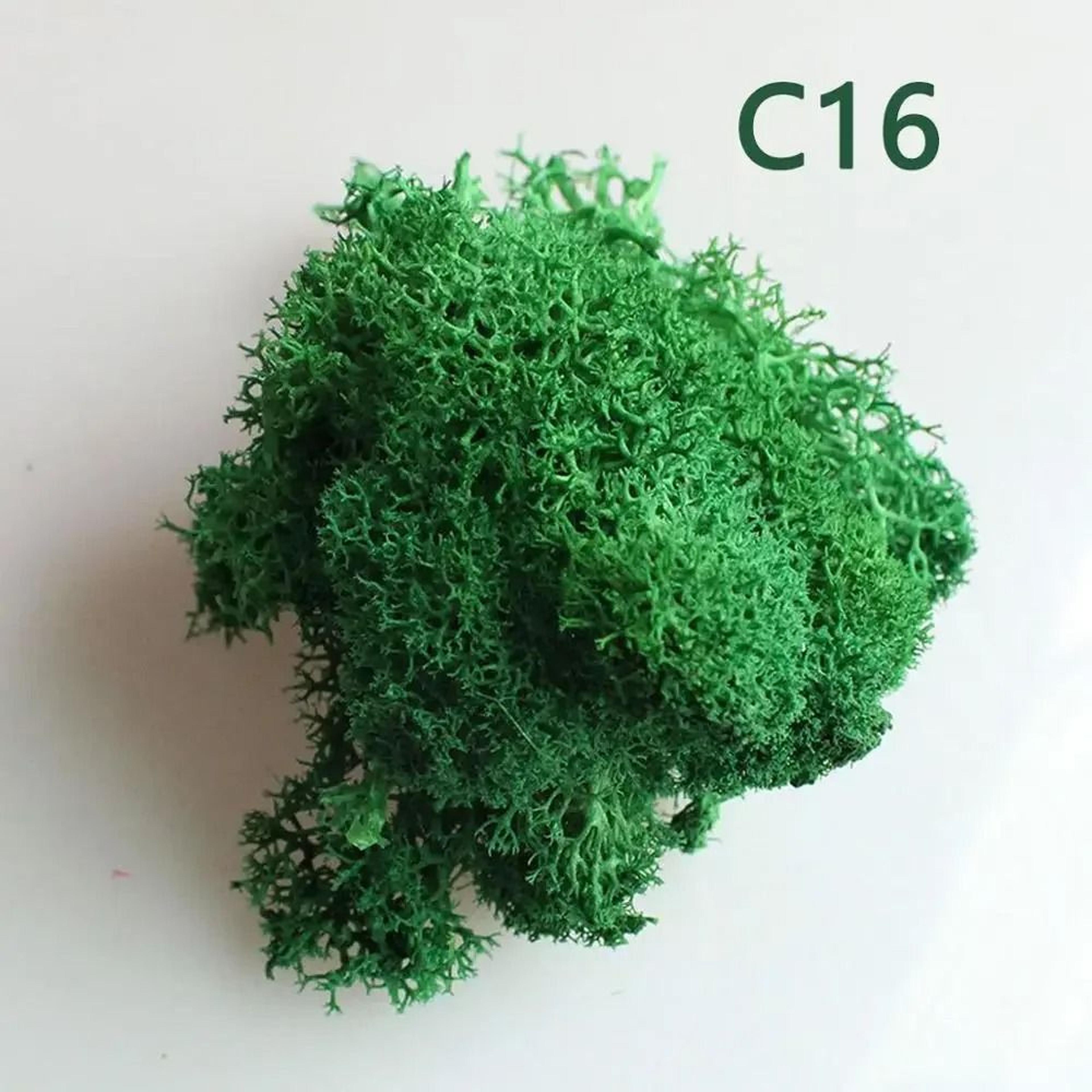 Artificial Eternal Life Moss  Decorative Faux Greenery For Wedding  DIY Crafts  Micro Landscape Mos 18