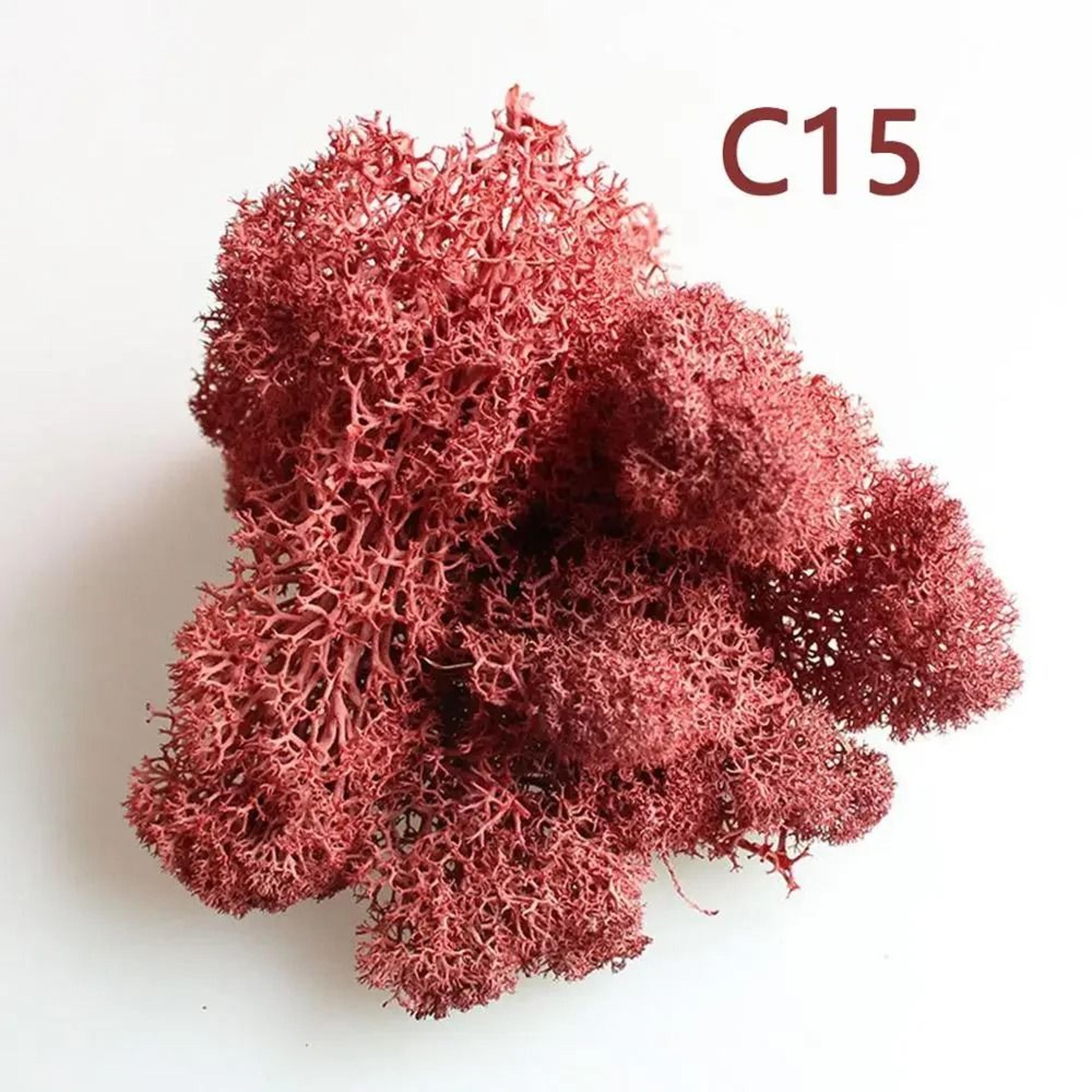 Artificial Eternal Life Moss  Decorative Faux Greenery For Wedding  DIY Crafts  Micro Landscape Mos 6