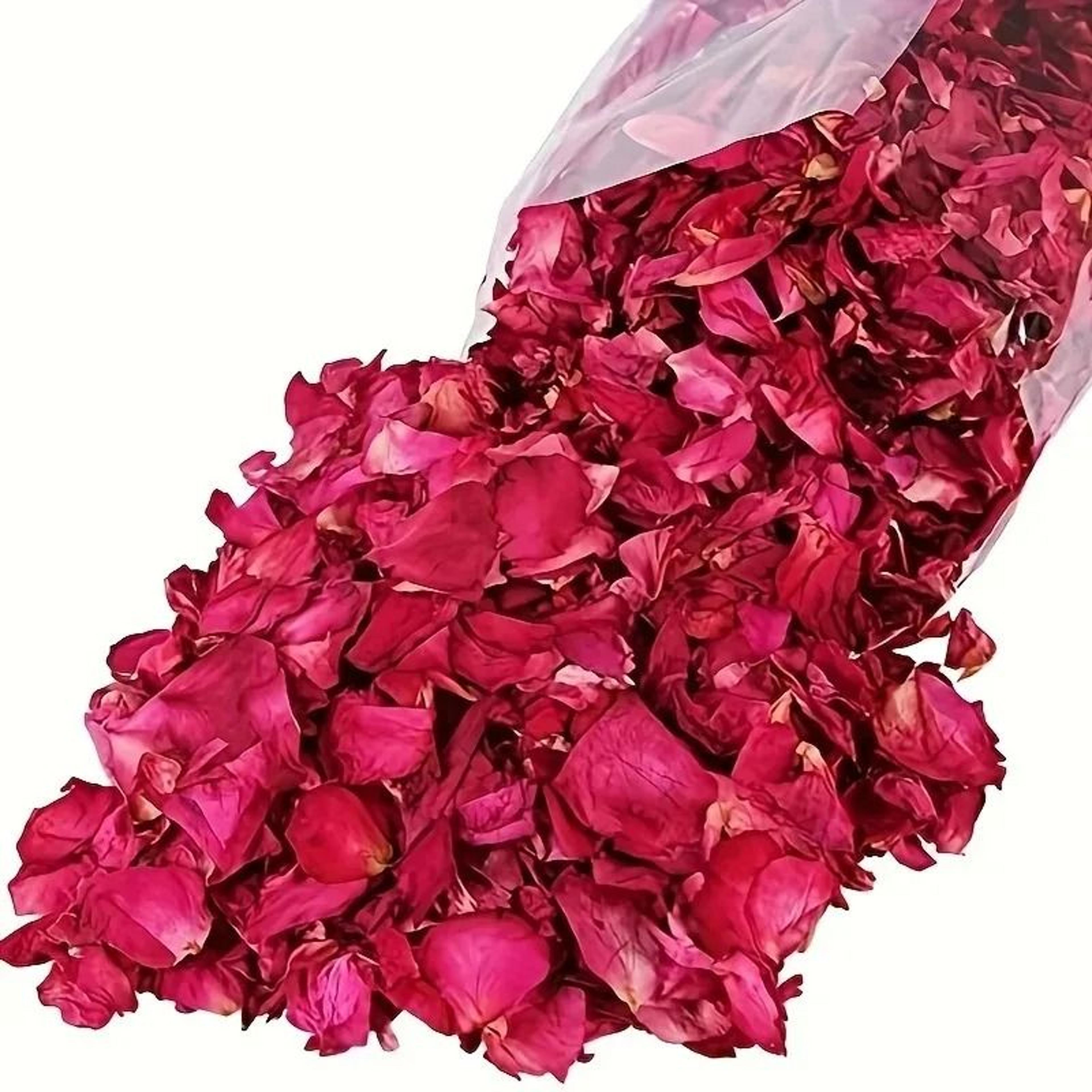 Premium Dried Rose Petals  500g Bulk Natural Spa Botanicals  Professional Aromatherapy  Luxury Even 0
