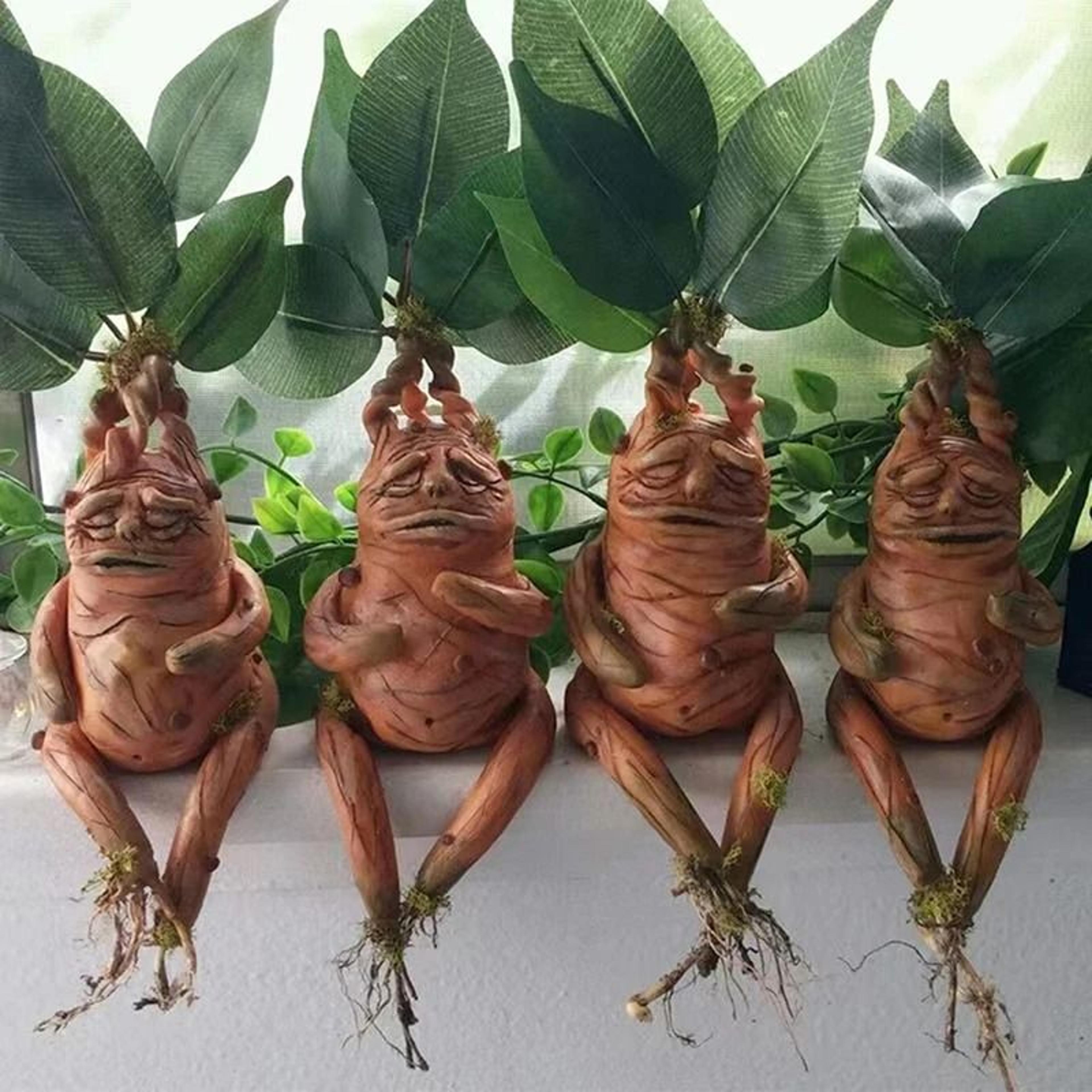 Mythical Mandrake Resin Statue  Forbidden Forest Root Figurine  Professional Fantasy Garden  Deskto 1