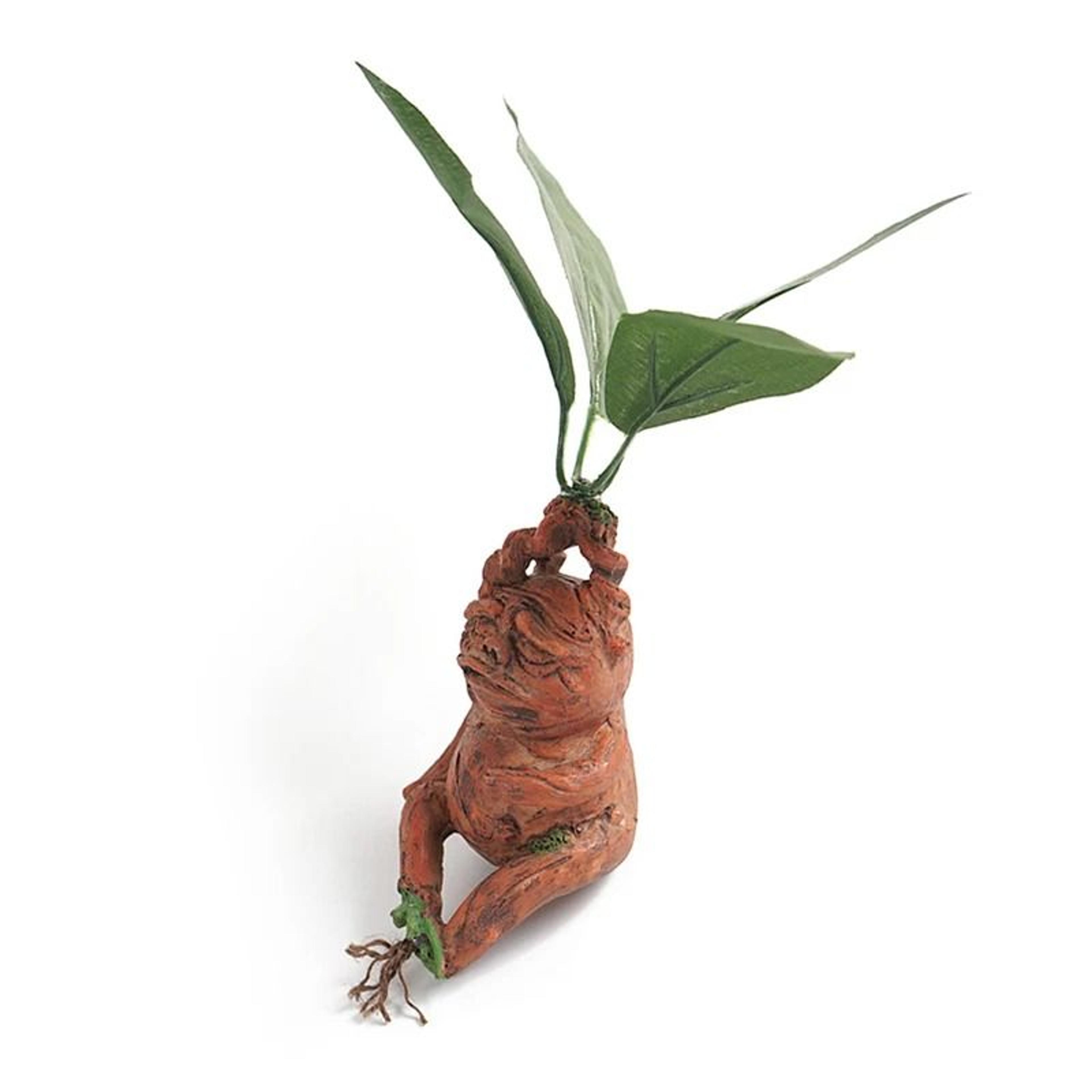 Mythical Mandrake Resin Statue  Forbidden Forest Root Figurine  Professional Fantasy Garden  Deskto 4