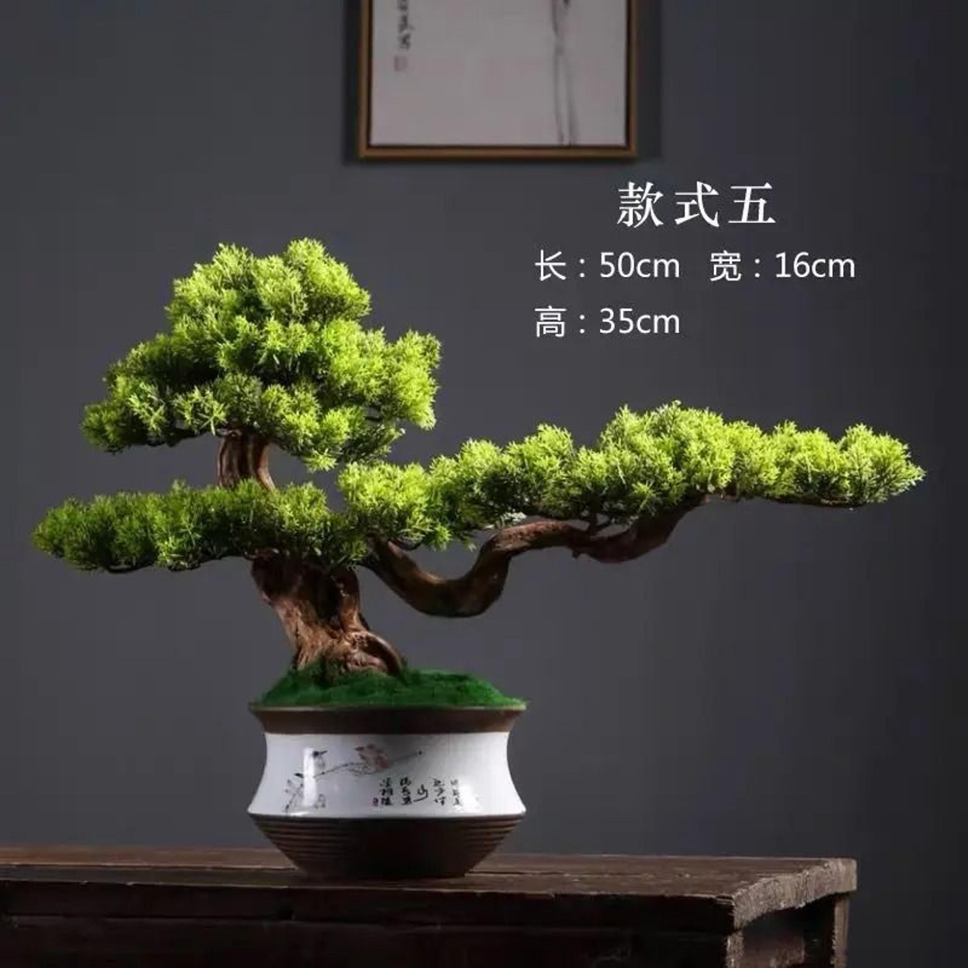 Simulation Welcome Pine Bonsai  Professional FourSeasons Landscape Tree  Executive Living Room  Des 4