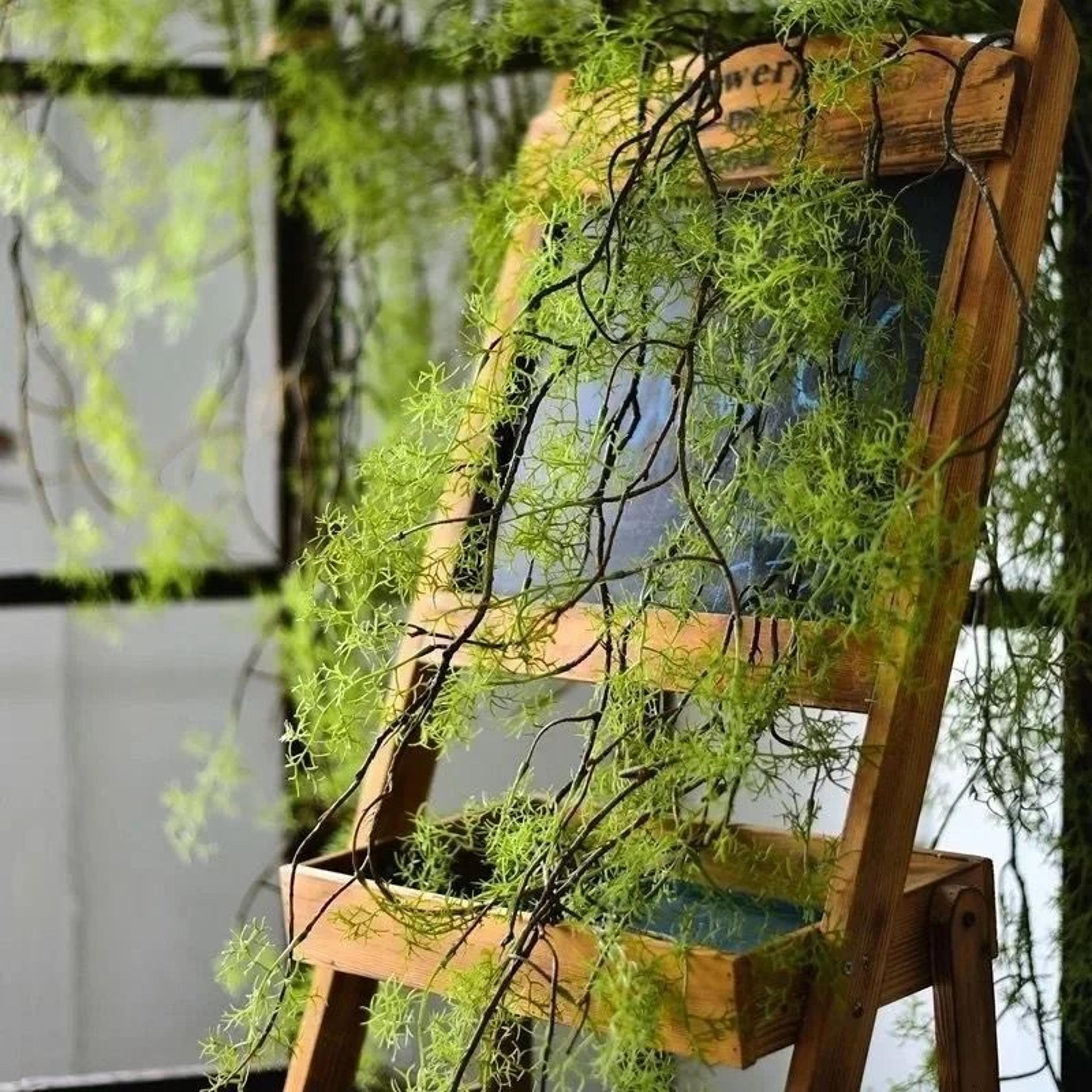 Botanical Asparagine Cascade  13M HighDensity Hanging Vine  Executive Lobby  Studio Sanctuary Decor 5