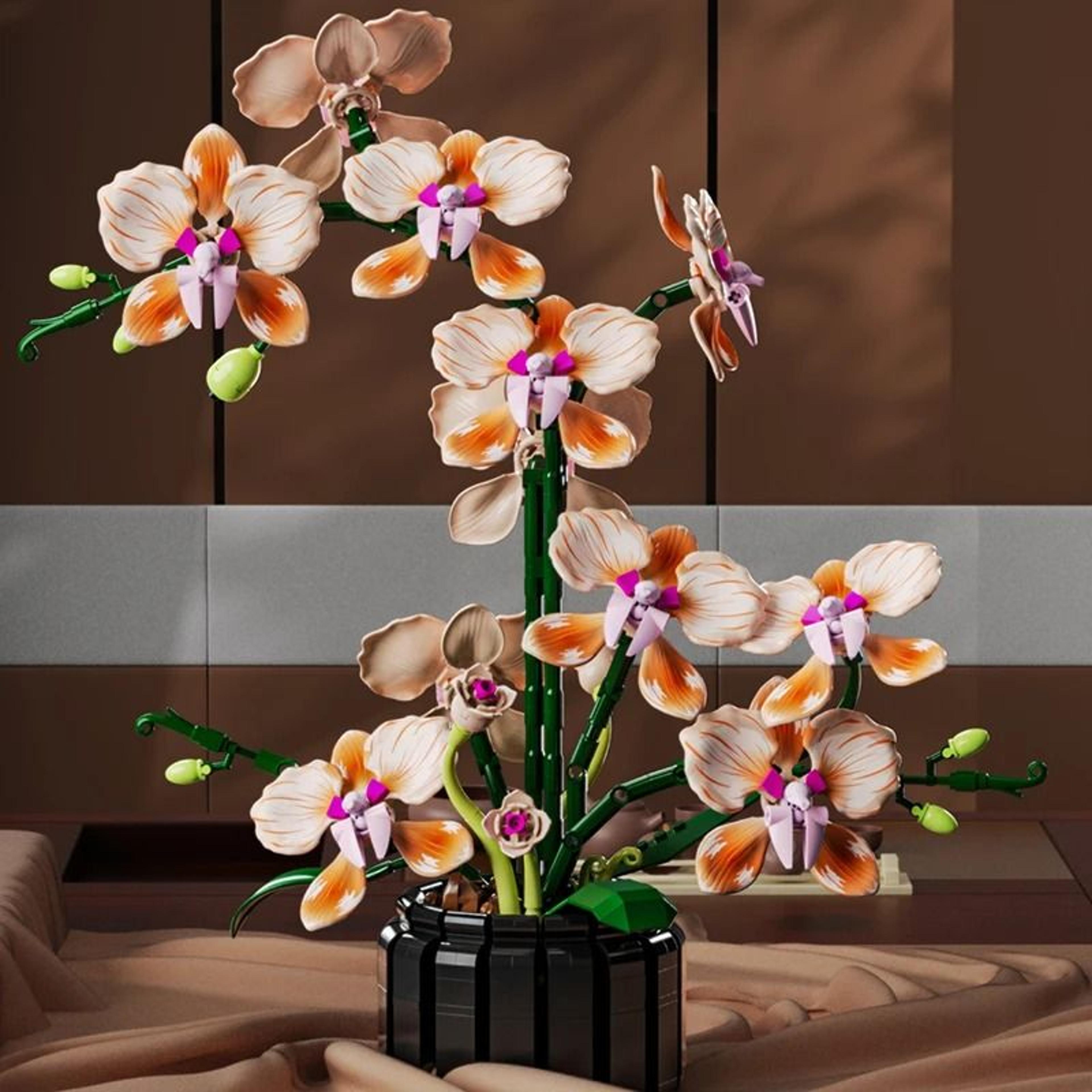 botanical orchid bouquet & technical floral-architectural logic