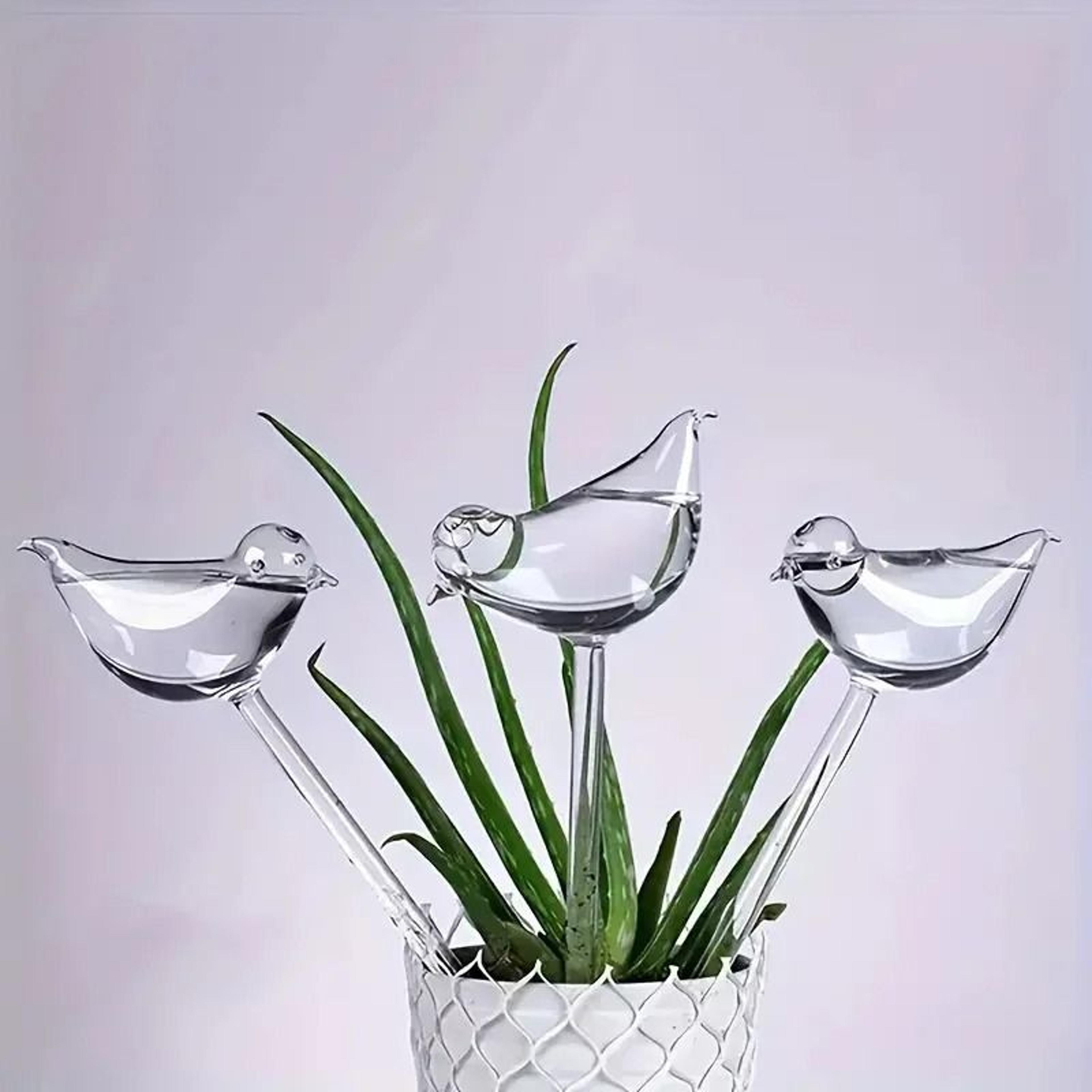 Automatic BirdShaped Water Dispenser For Indoor Plants And Botanical Hydration 6