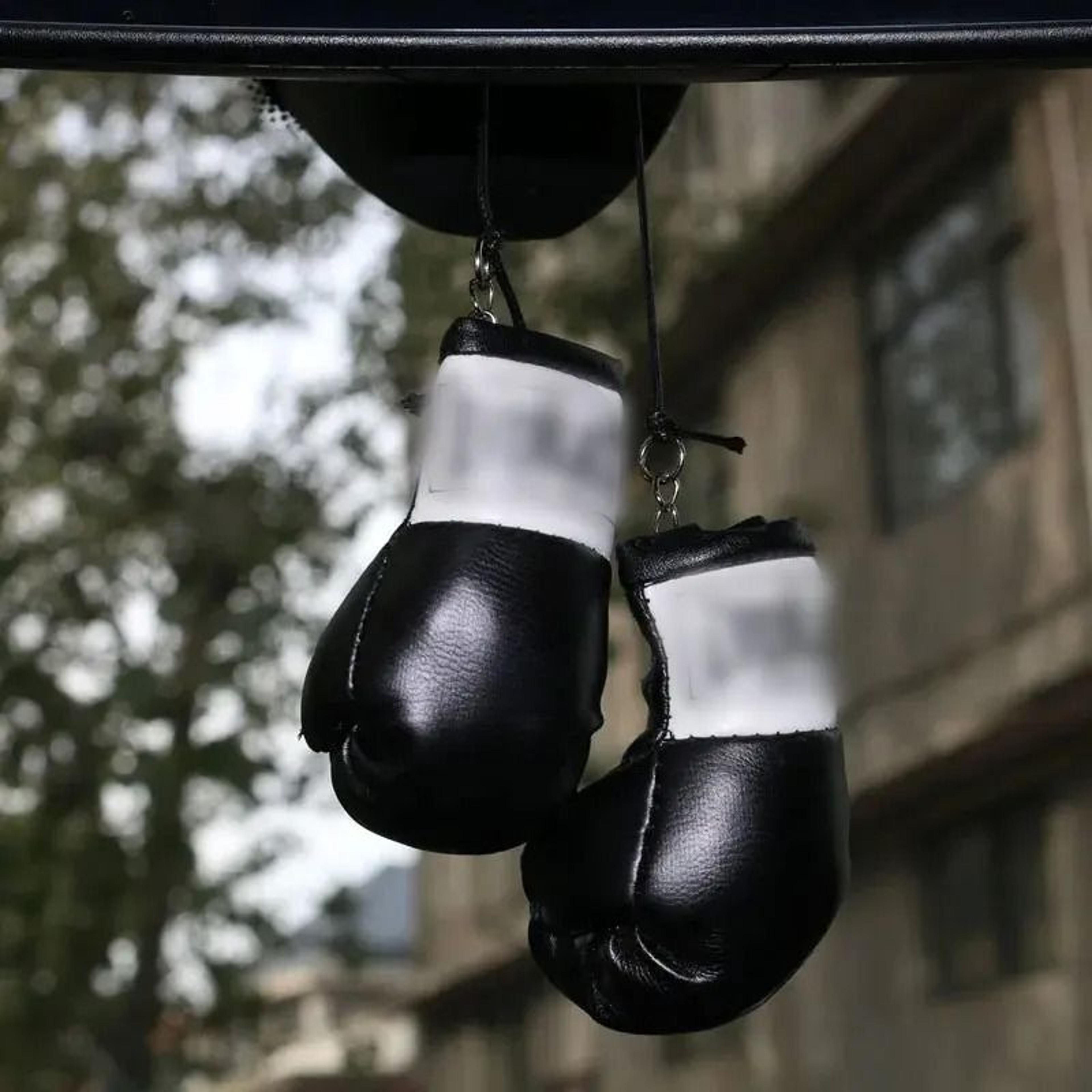 Festive Athletic Prizefighter Rearview And Mood Stabilization Interface 7
