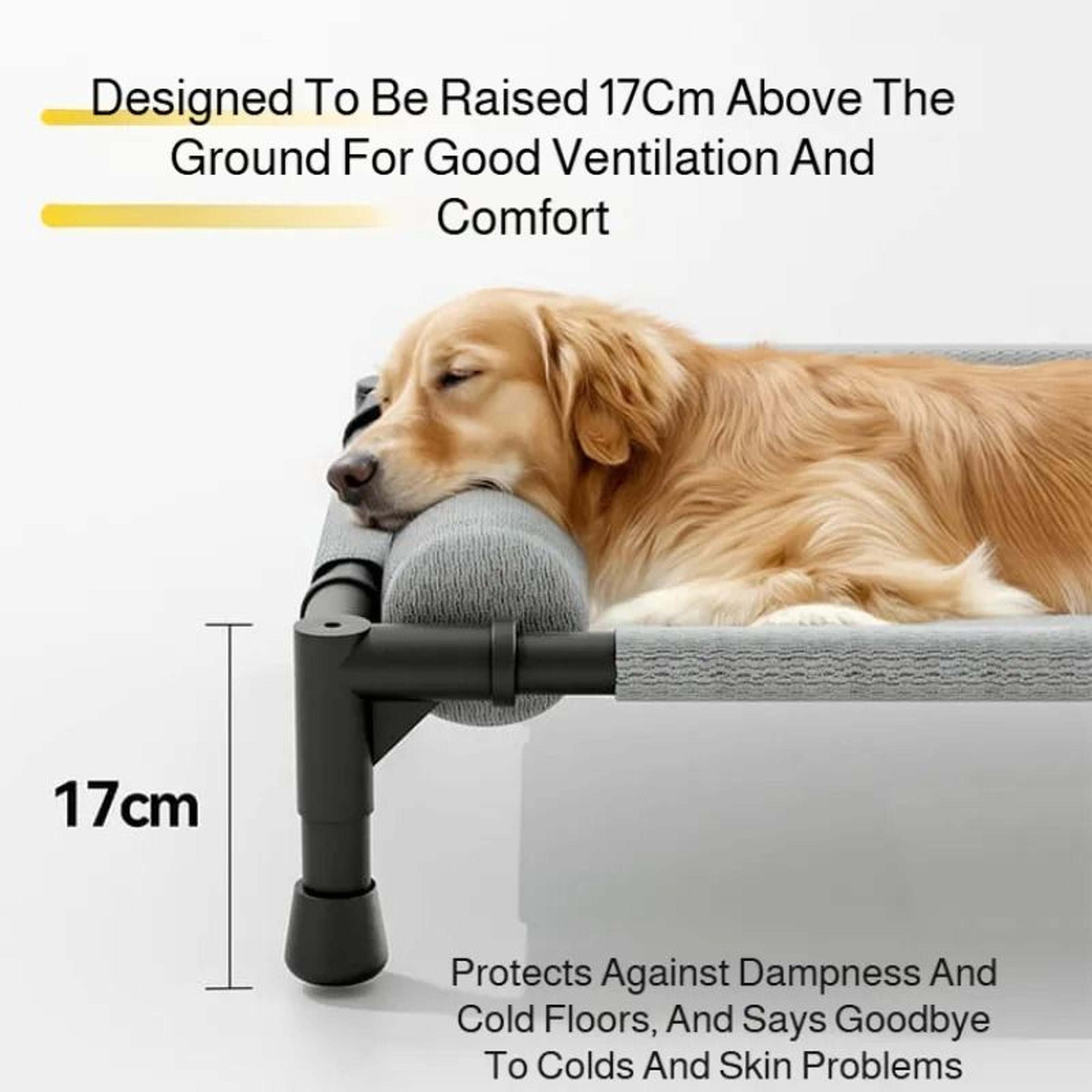 AeroLoft Orthopedic Elevated Mesh Lounger 3