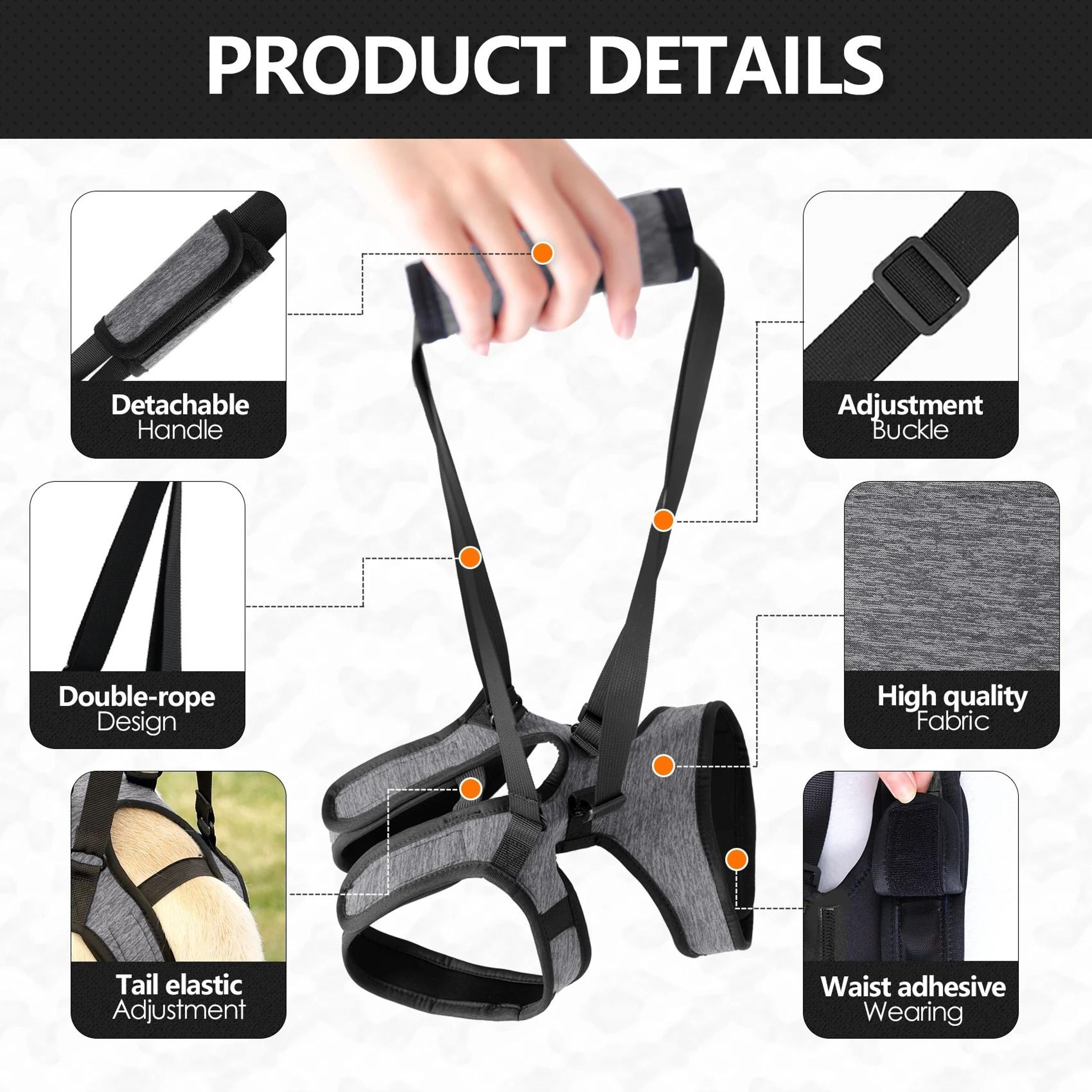 AeroStep Mobility Elite RearSupport System 2