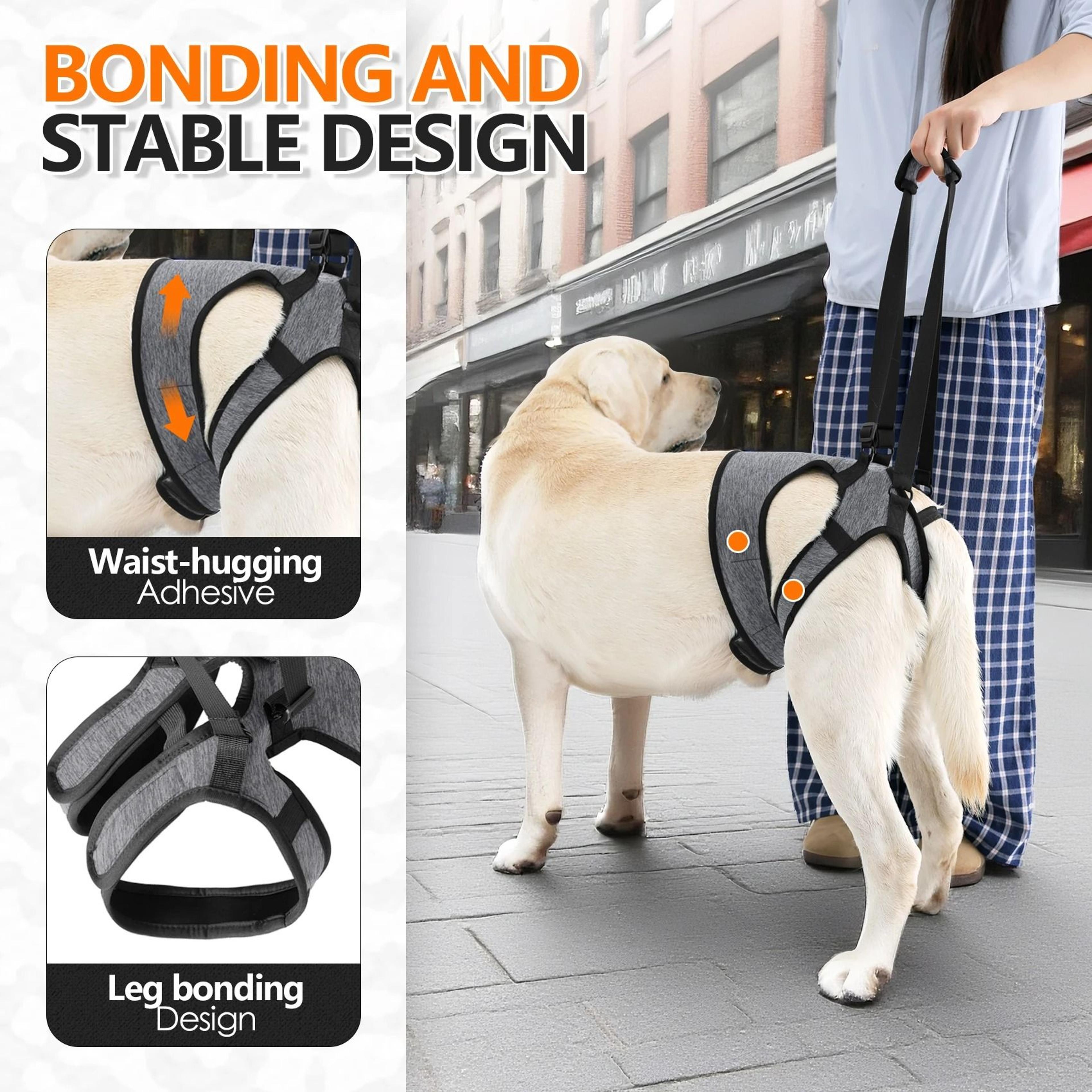 AeroStep Mobility Elite RearSupport System 3