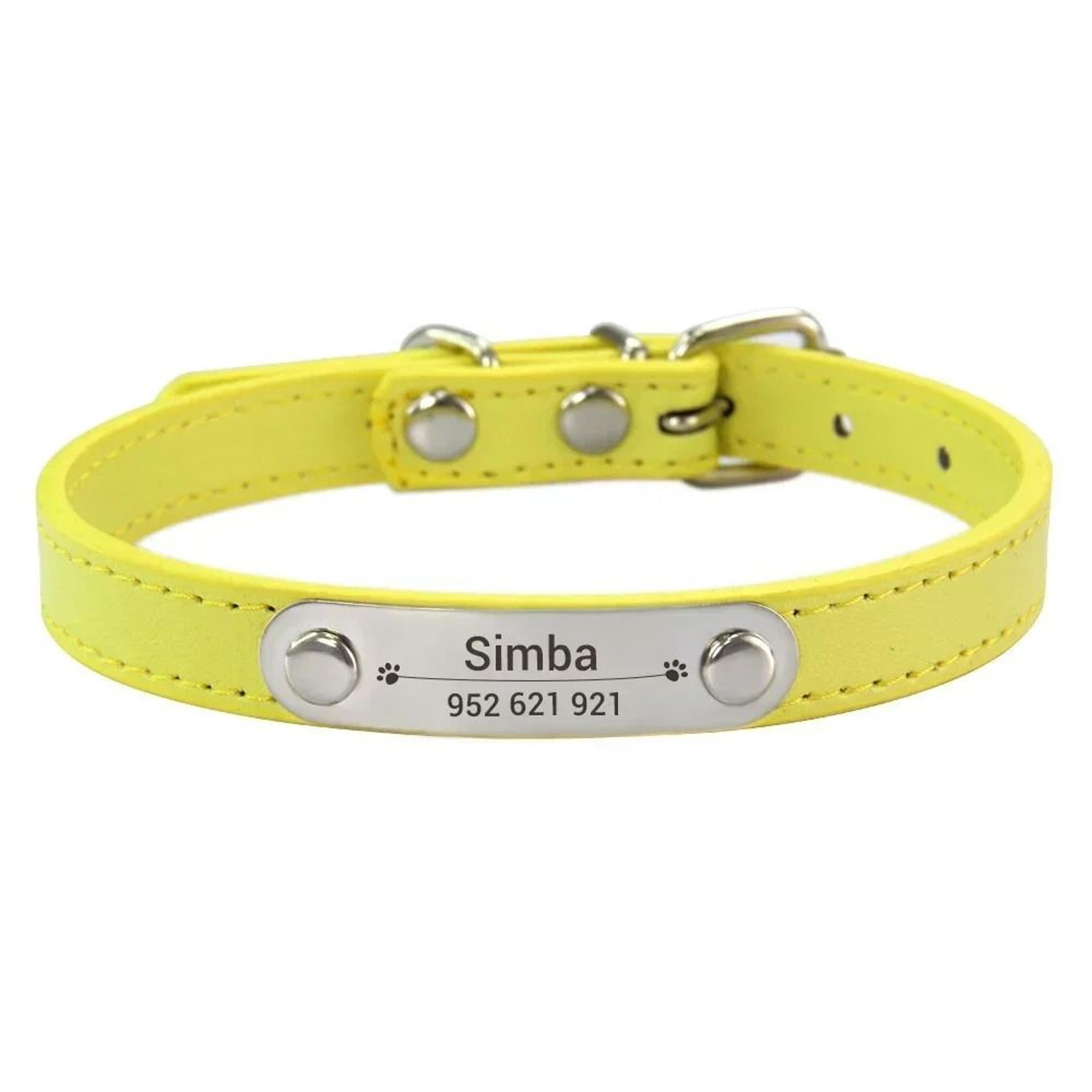 HeritageElite Personalized Vegan Leather Collar 10