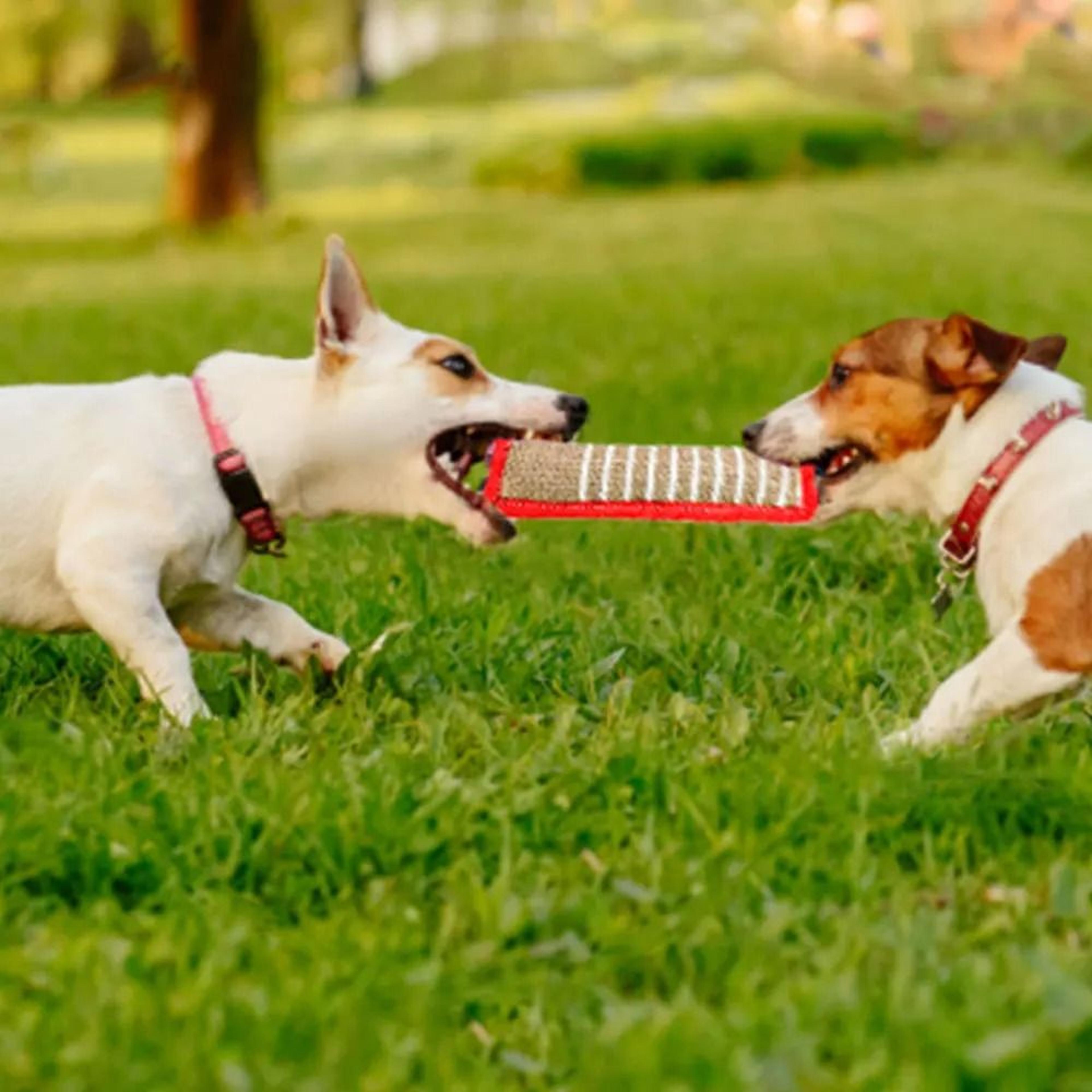 AeroStrike Professional K9 Training  Bite Tug 2