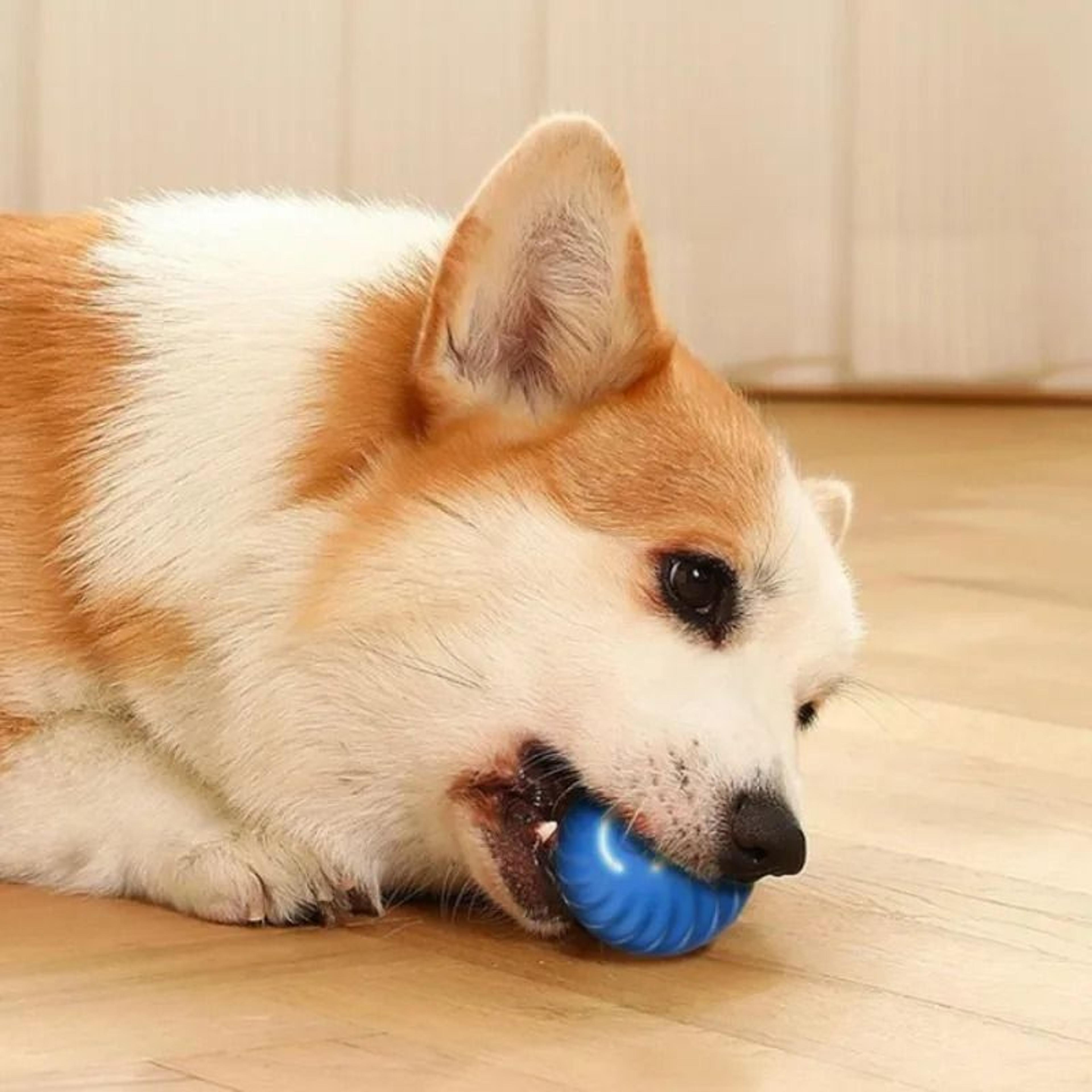 Interactive Smart Moving Pet Ball 3