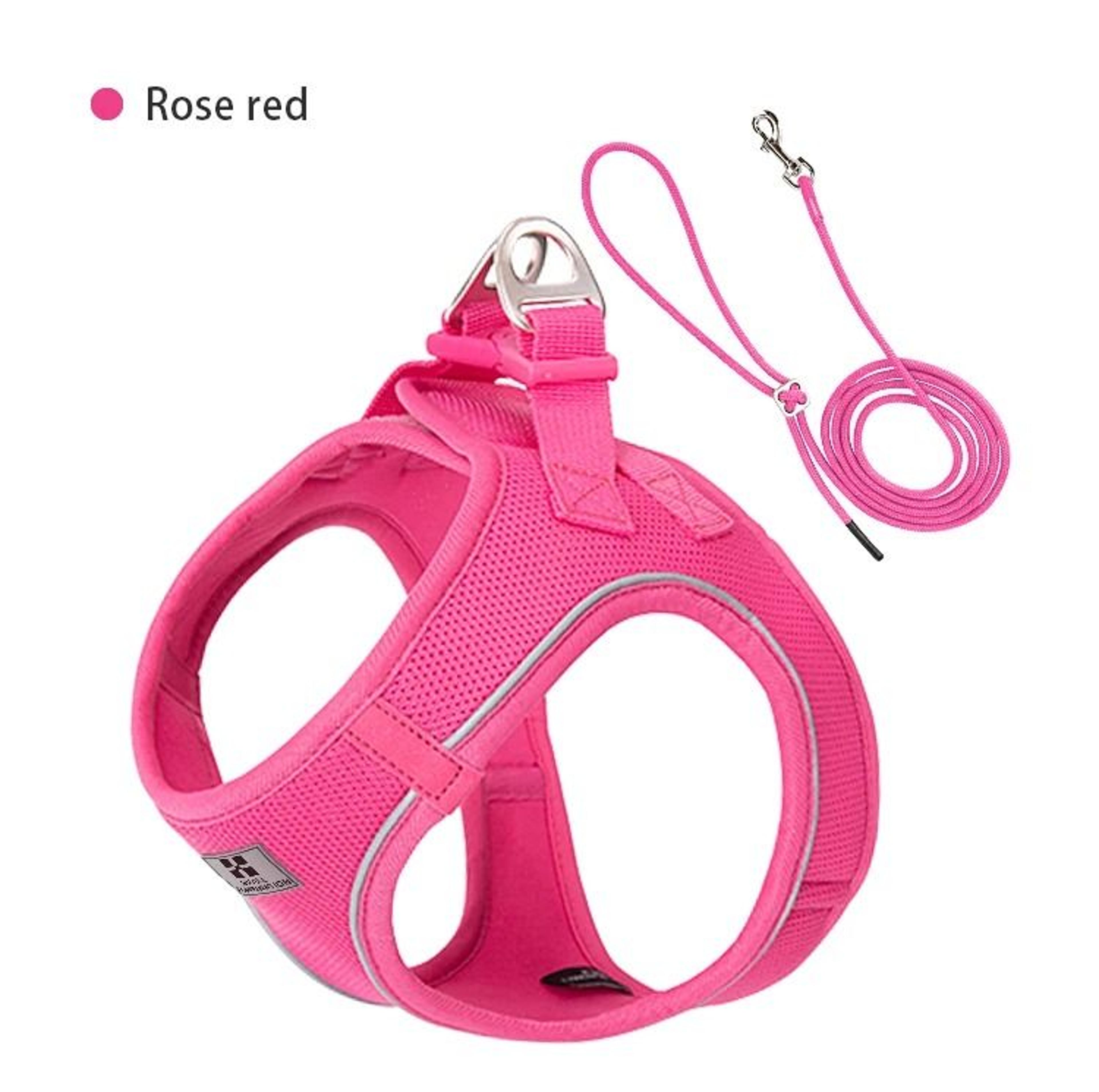 Reflective Adjustable Mesh Pet Harness And Leash Set 13
