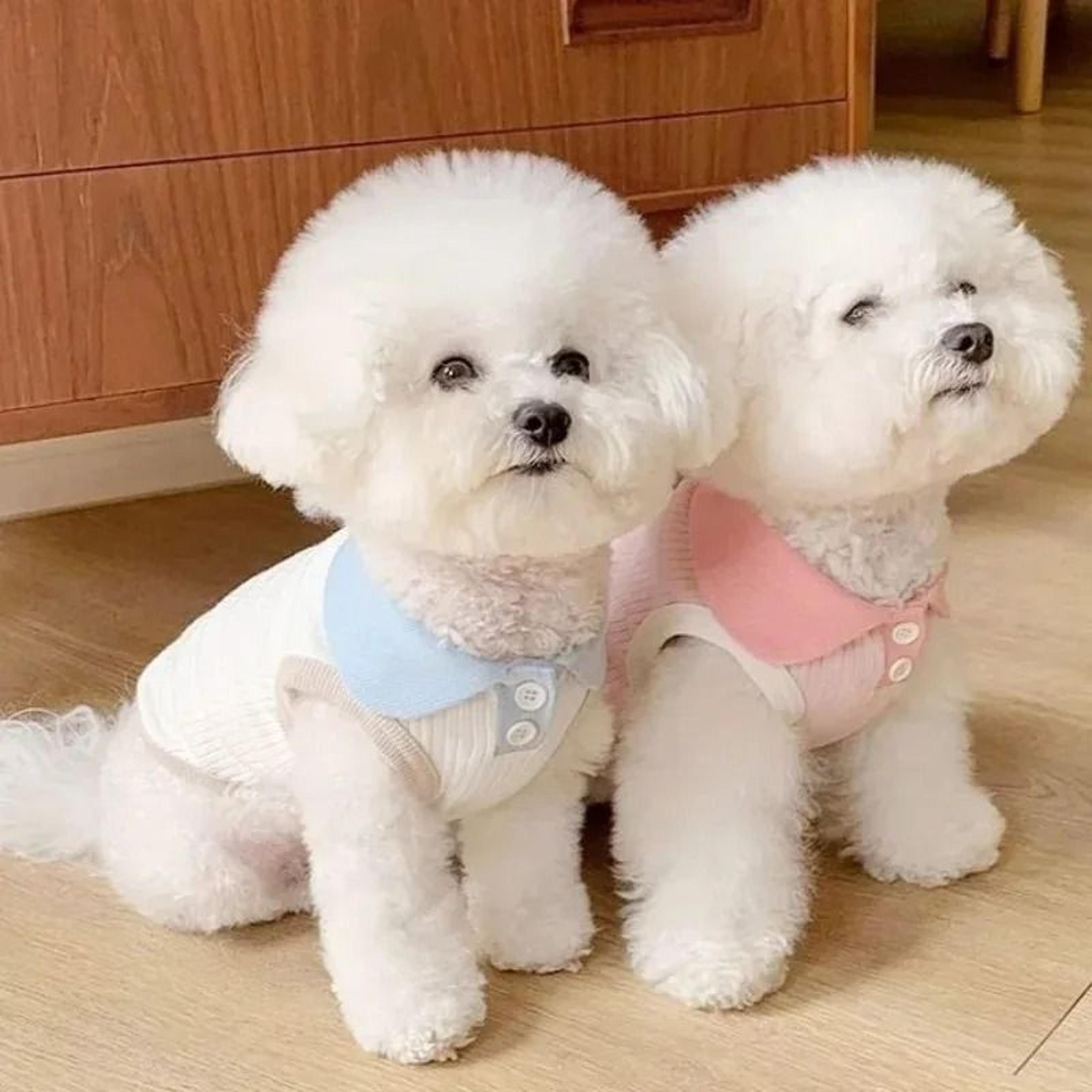 Breathable Lightweight Summer Pet Shirt 1
