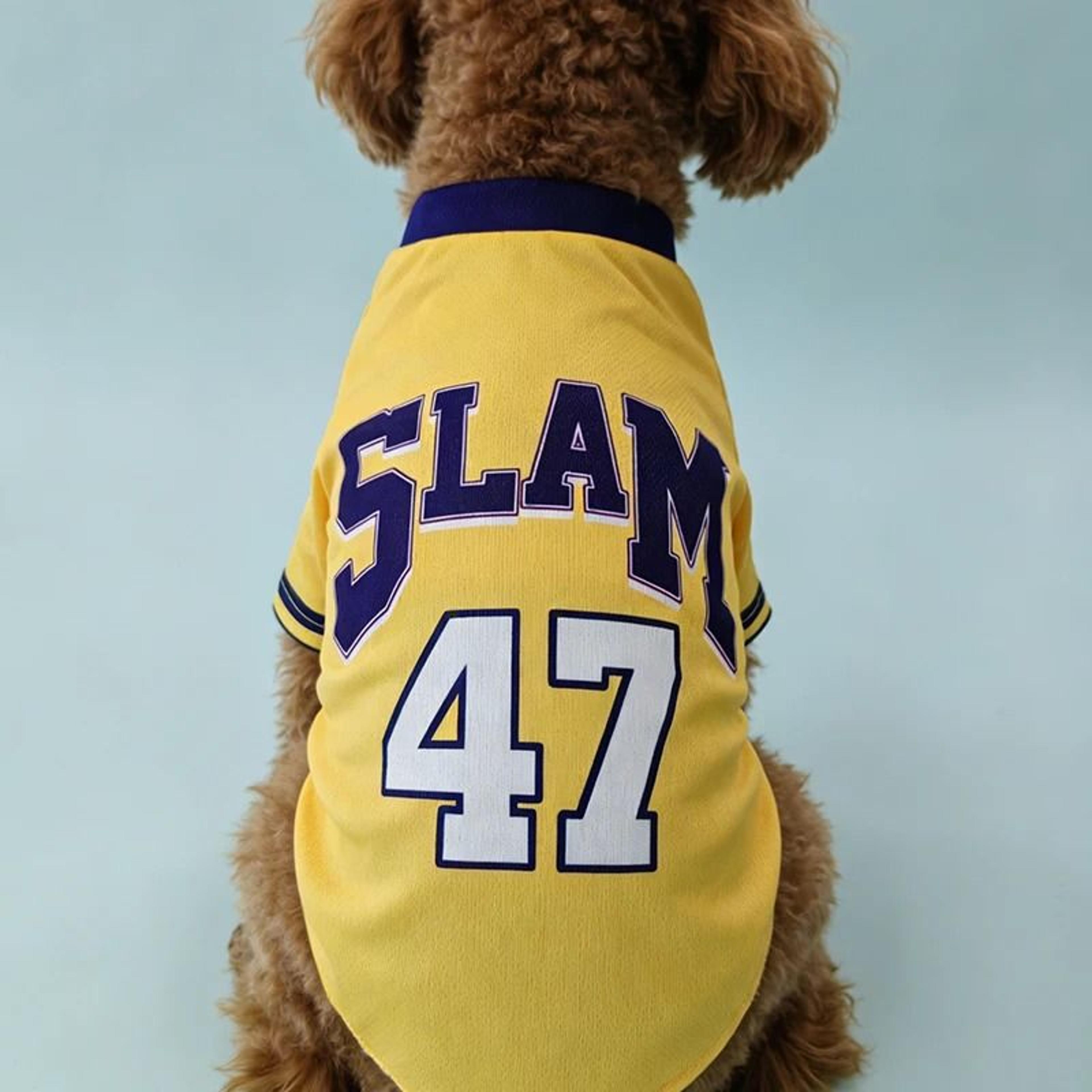SLAM 47 Breathable Mesh Pet Basketball Jersey 3
