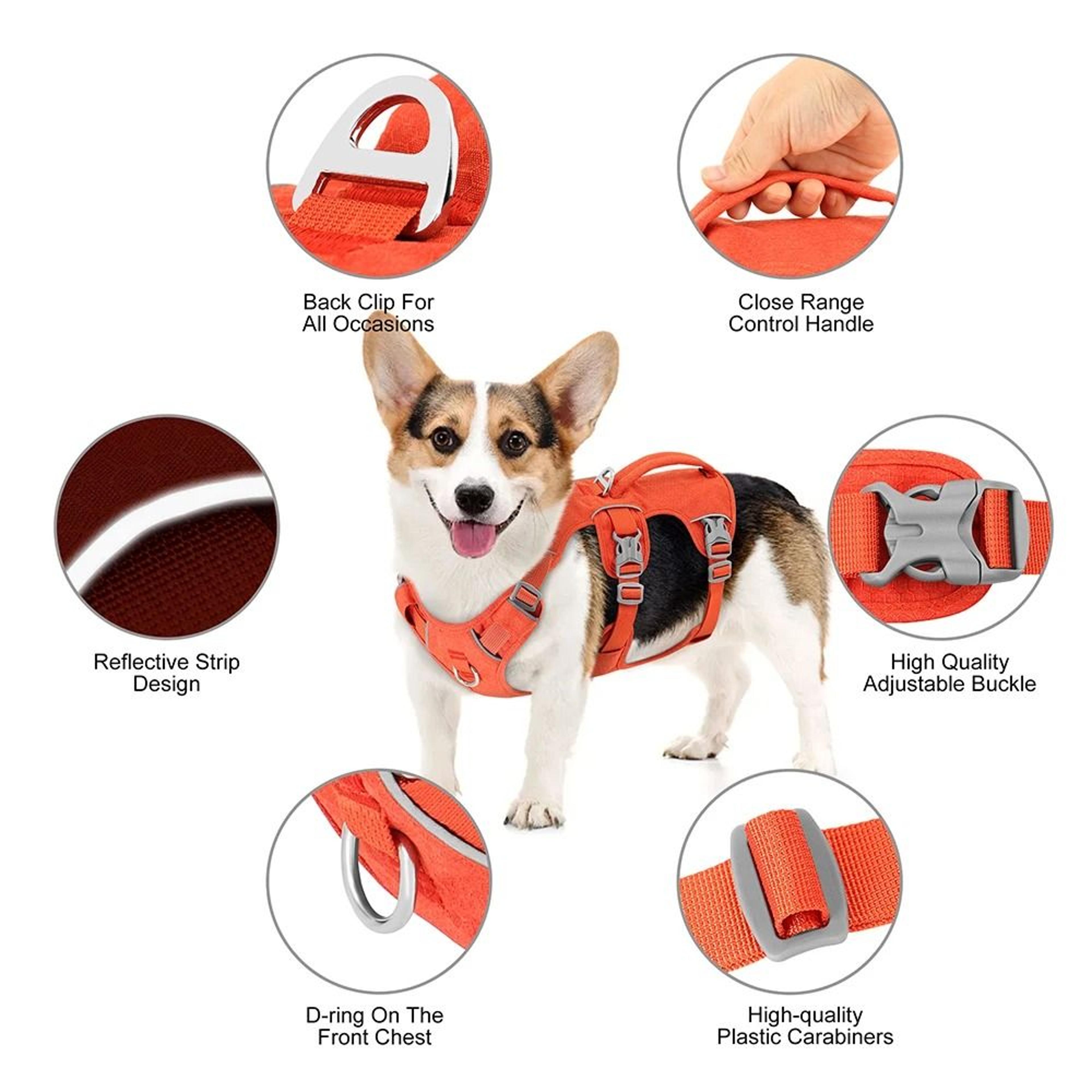 EscapeProof Reflective Nylon Dog Harness 4