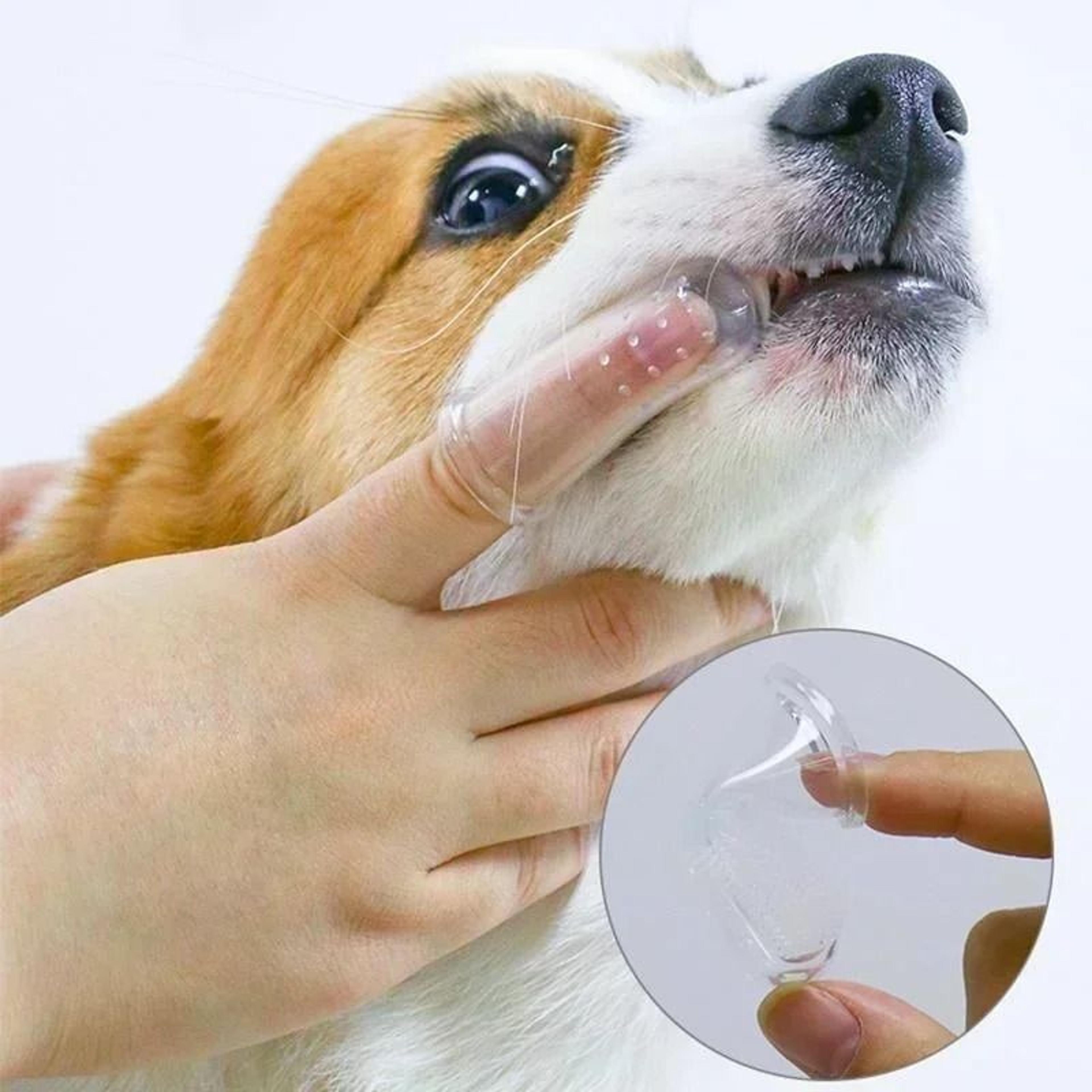 Super Soft Silicone Pet Finger Toothbrush Set 5Pack 3