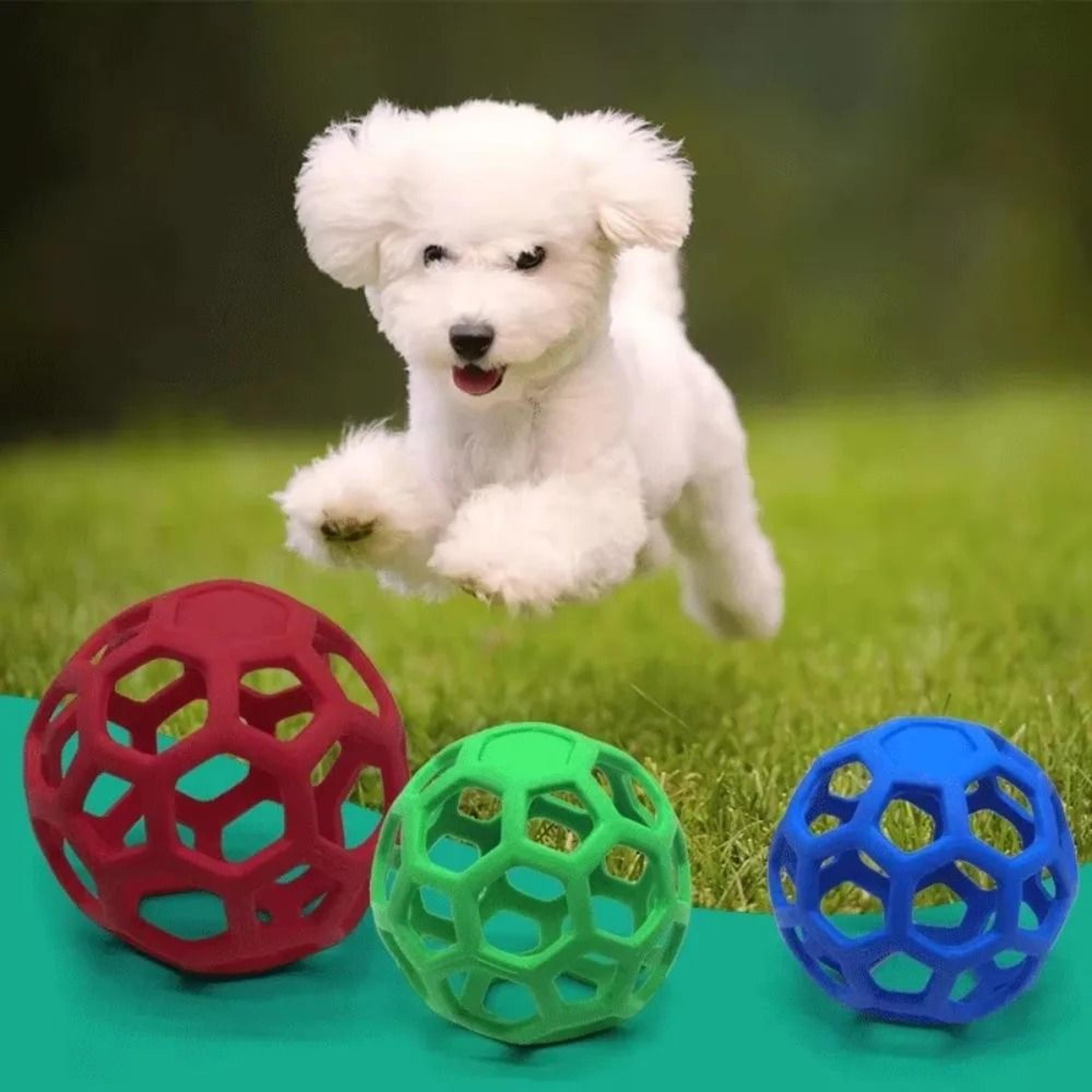 hollow rubber chew ball with internal bell