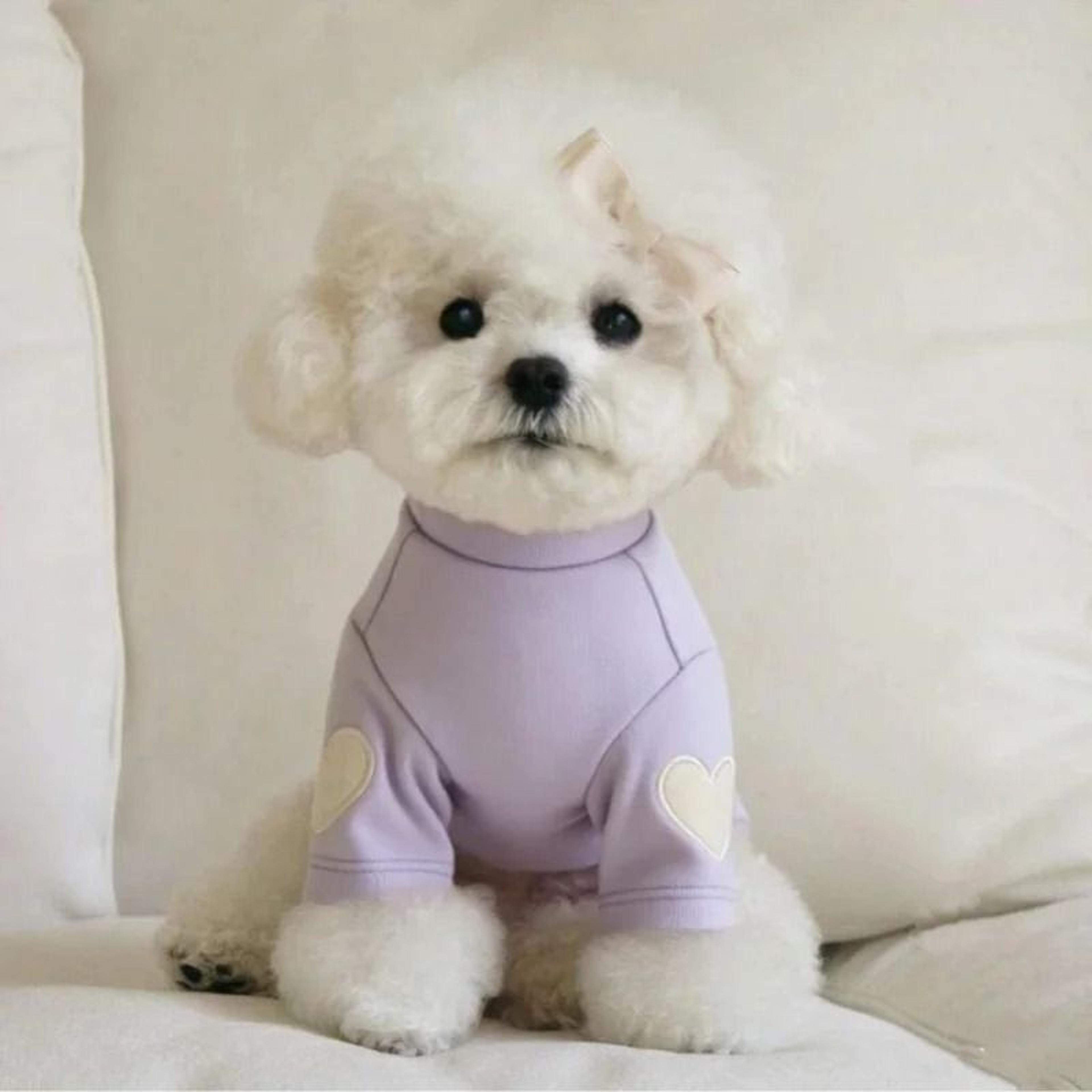 Love Bear Winter Warm Pet Base Shirt 10